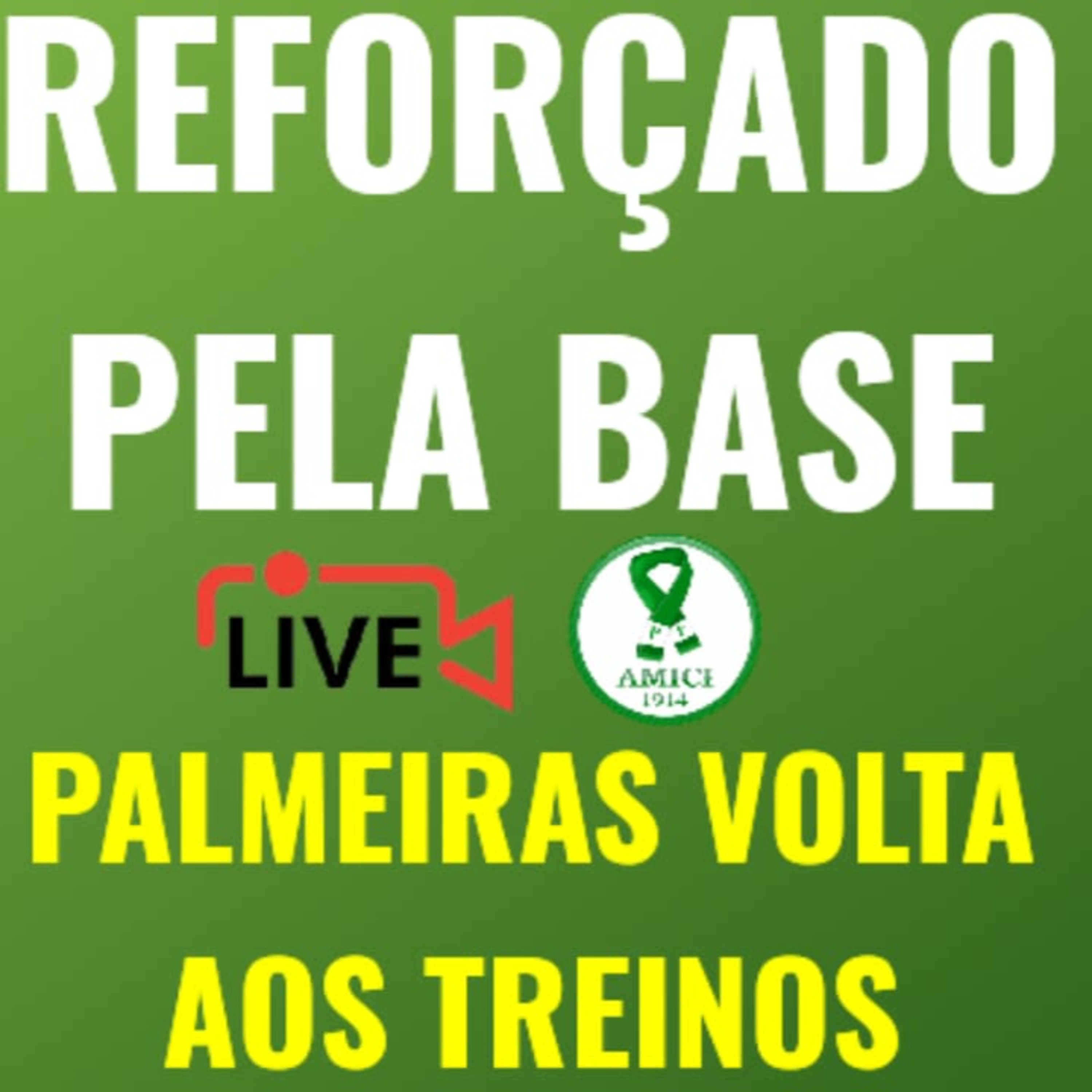 AO VIVO _ SEM CONTRATAÇÕES, PALMEIRAS VOLTA AOS TREINOS REFORÇADO PELA BASE