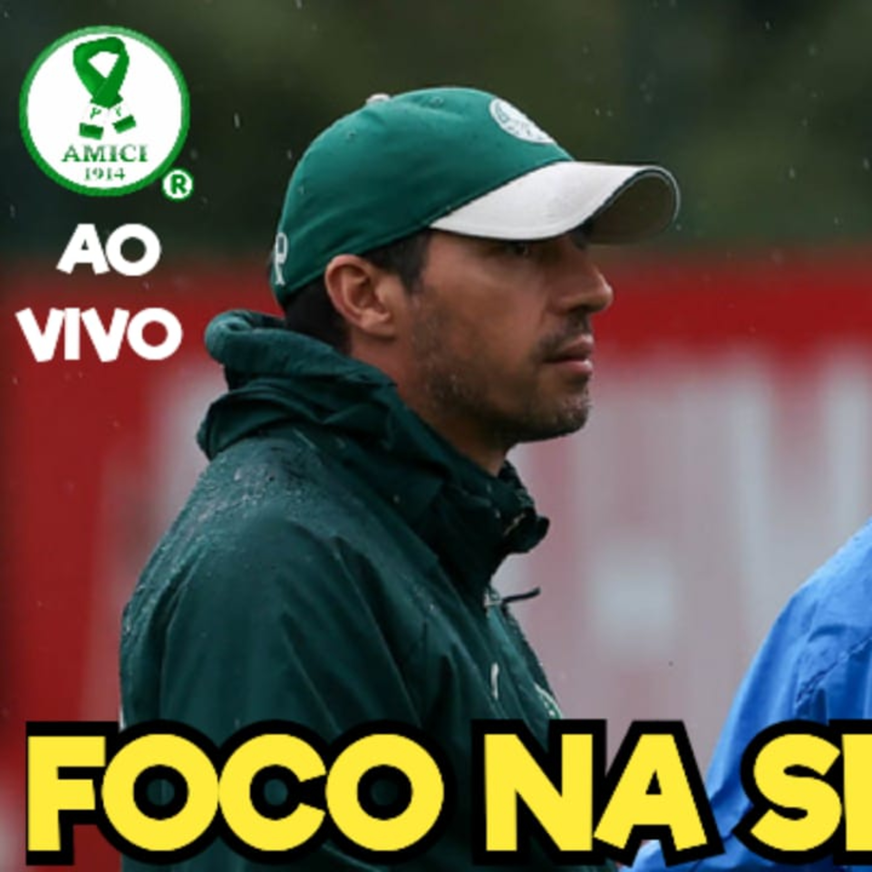 AO VIVO _ VERDÃO SE PREPARA PARA SEMIFINAL DO PAULISTA _ JANELA DE TRANSFERÊNCIAS PERTO DE FECHAR