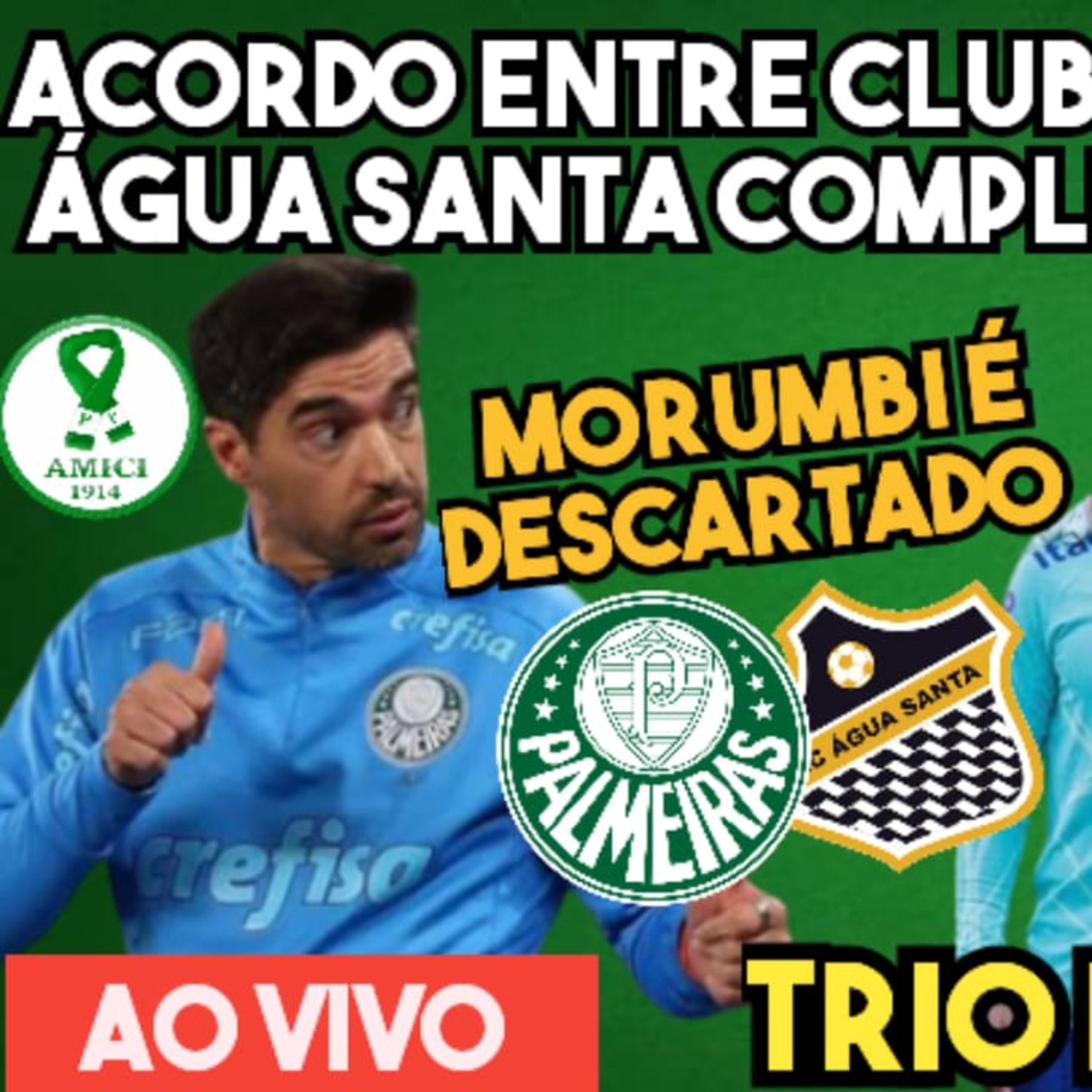 ACORDO PERMITE ÁGUA SANTA SEM DESFALQUES _ MORUMBI DESCARTADO _ TRIO DO PALMEIRAS NA SELEÇÃO