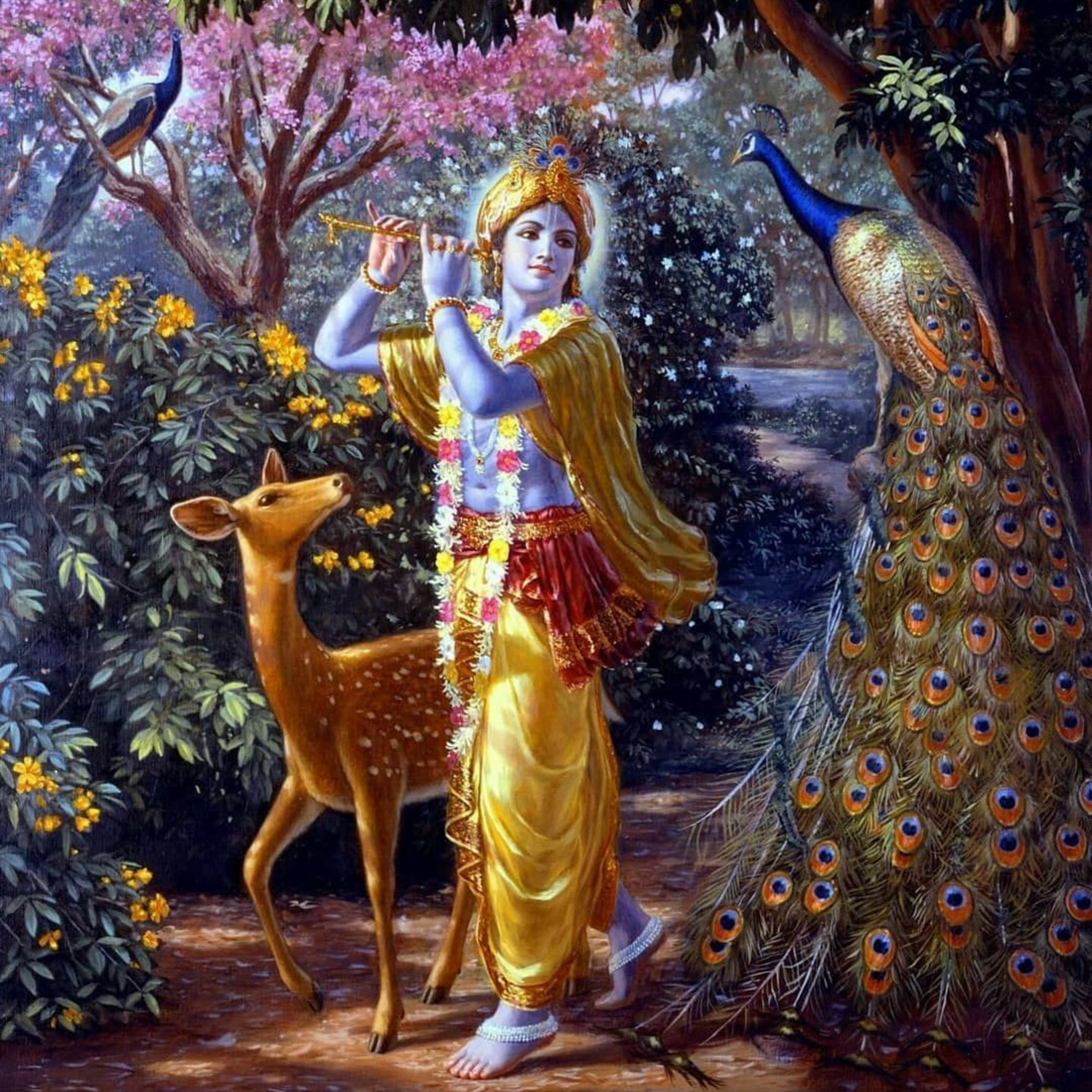 Las Gopis son atraídas por la Flauta episode artwork