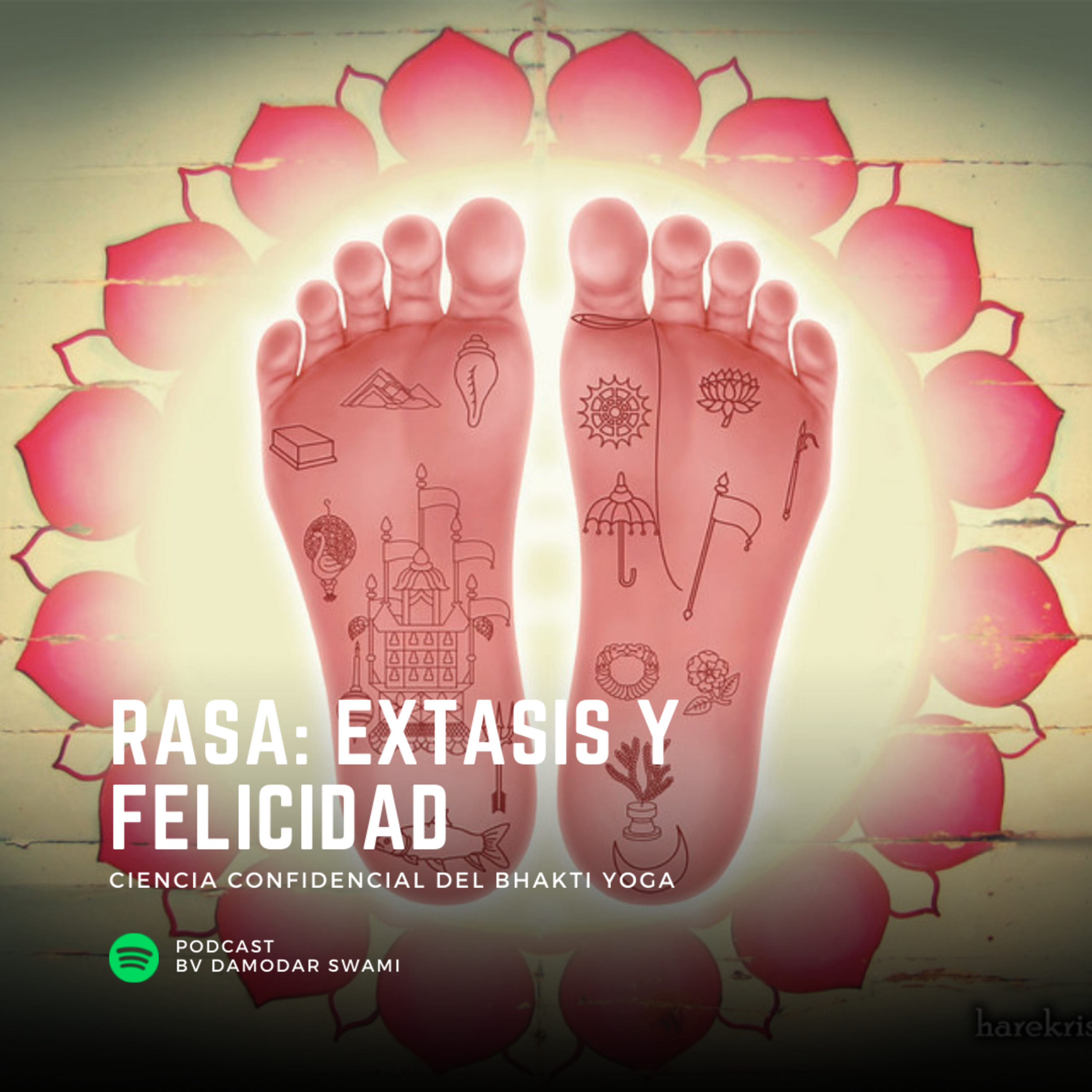 Rasa: Éxtasis y Felicidad episode artwork