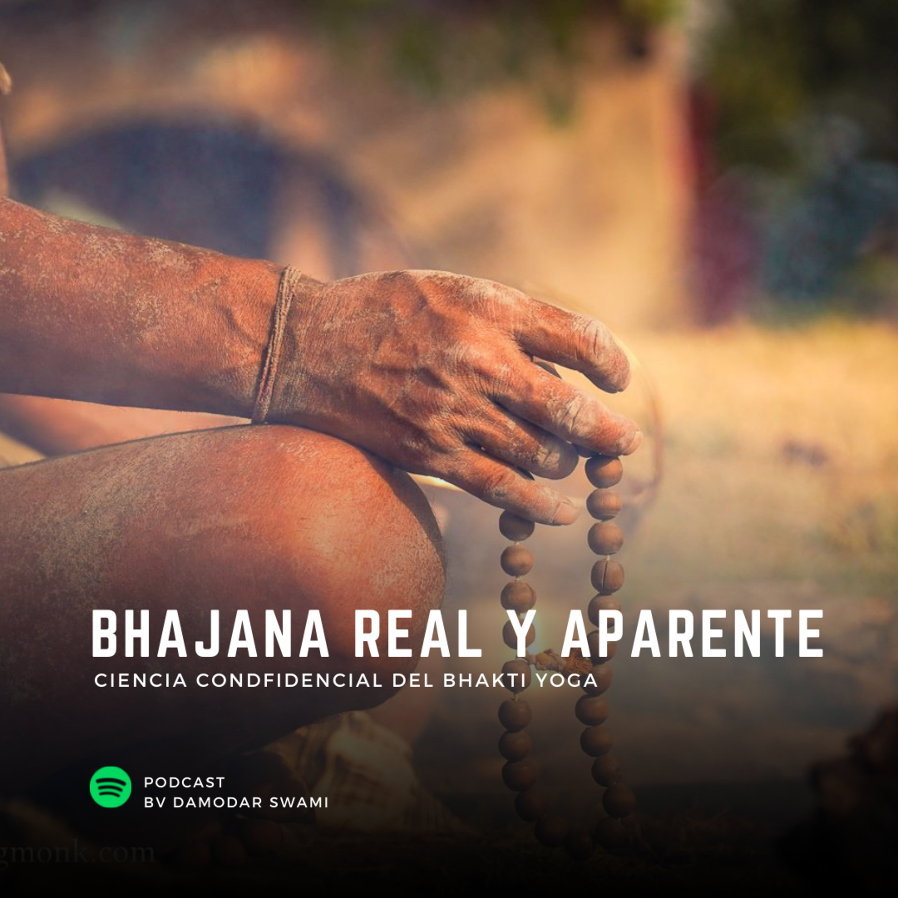 Bhajana Real y Aparente episode artwork