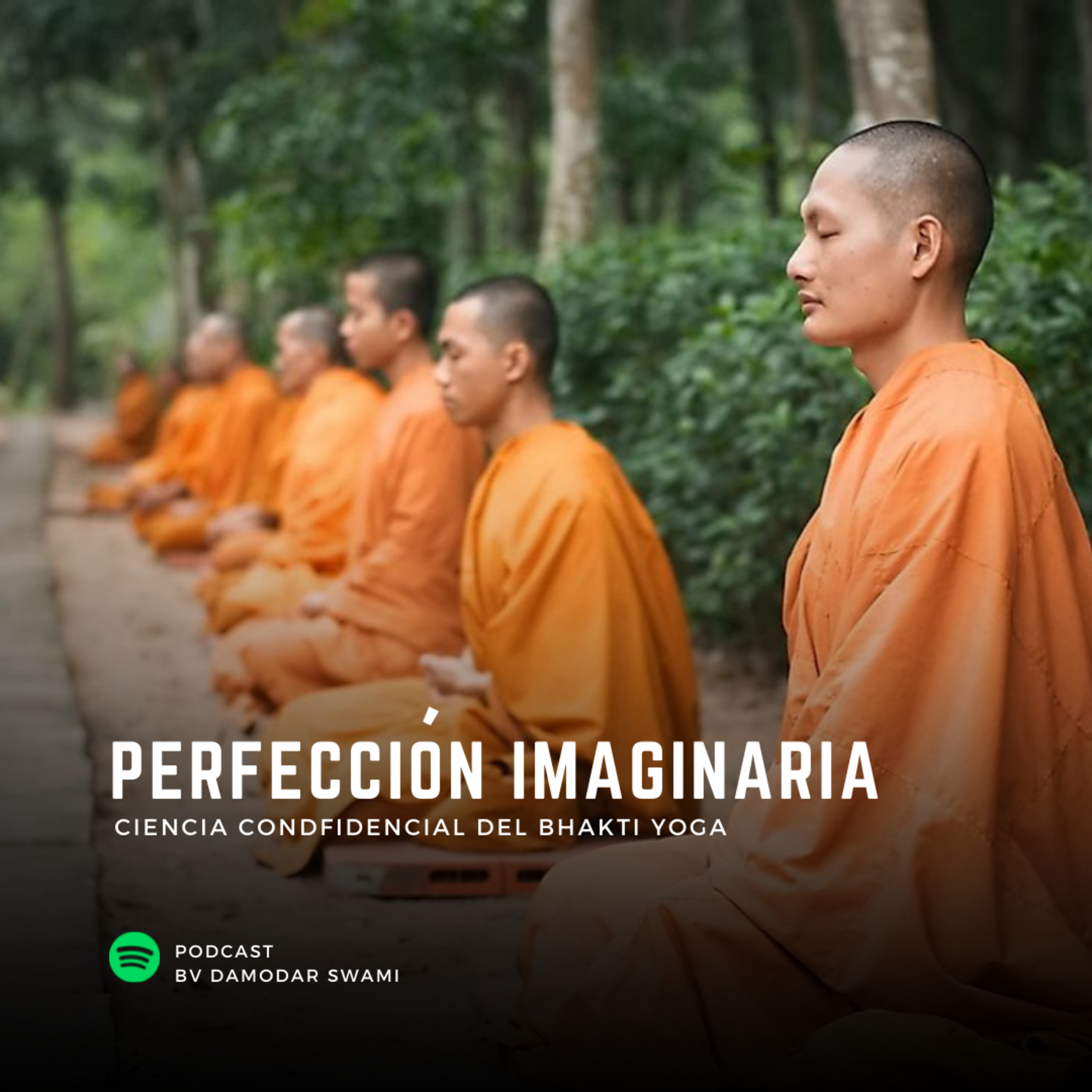 Perfección Imaginaria episode artwork