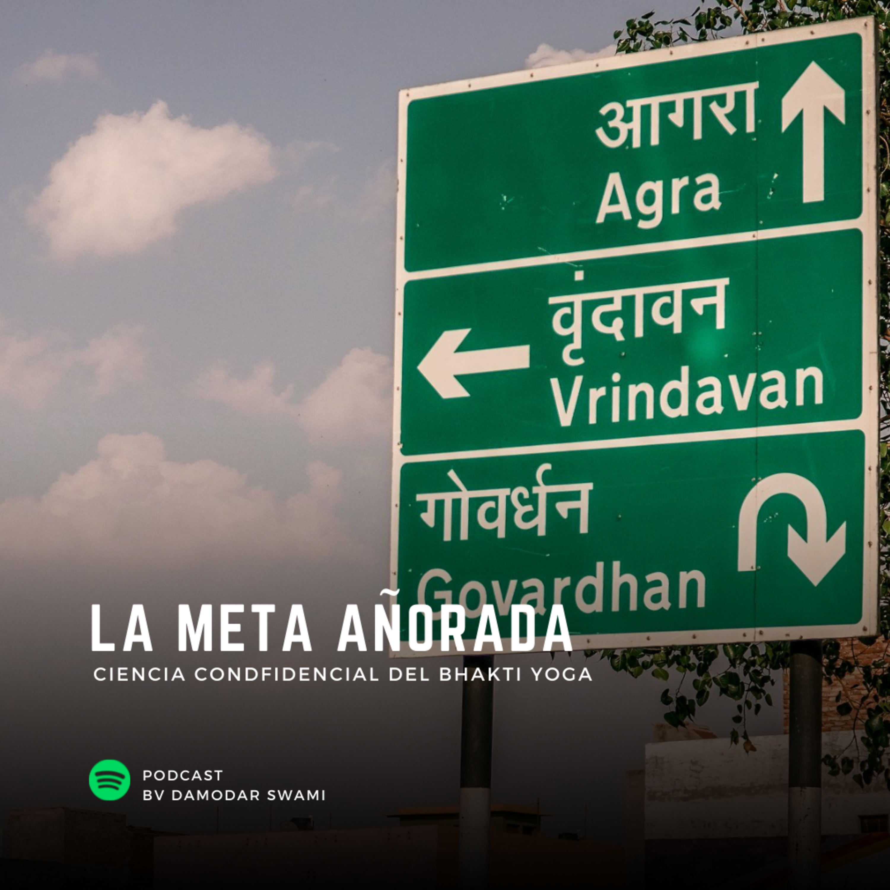La Meta Añorada episode artwork