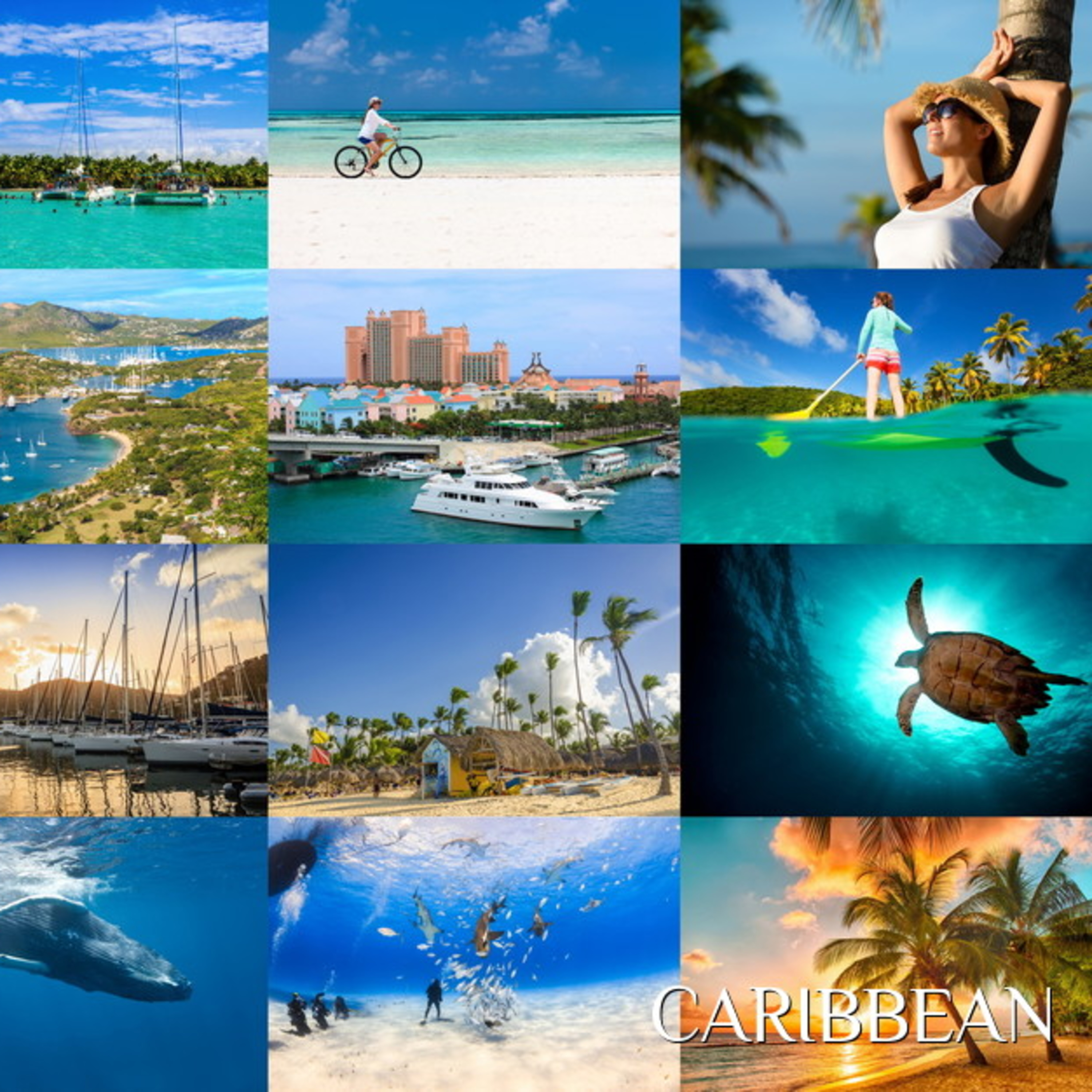 Caribbean life in America