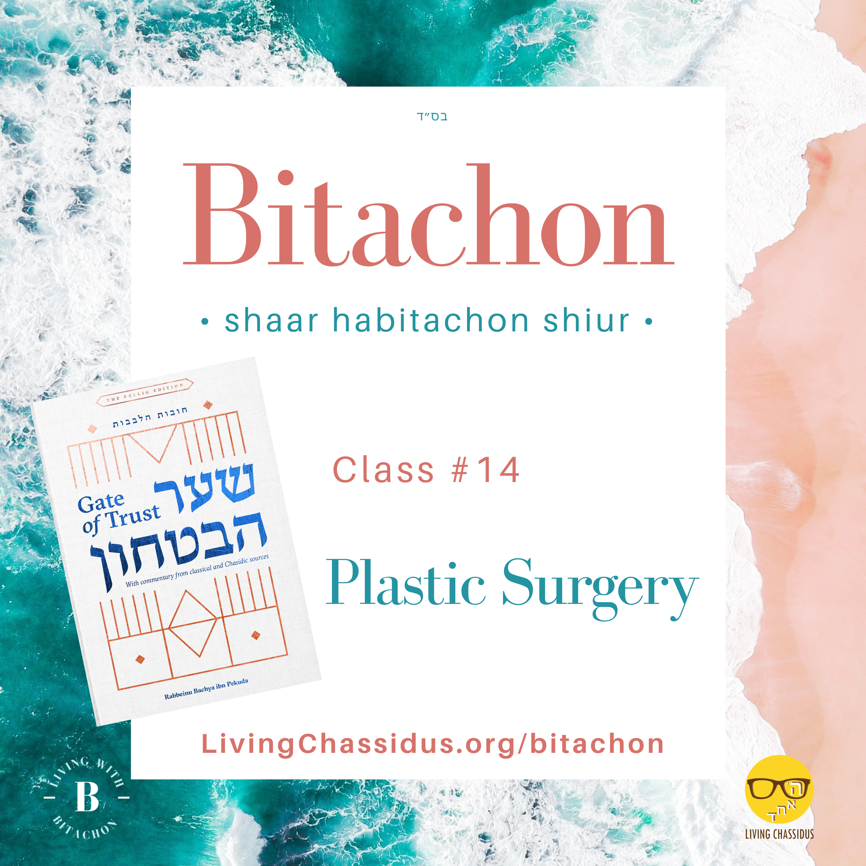 Shaar haBitachon: How Do I Deal with Plans Gone Awry? Class 14 episode artwork