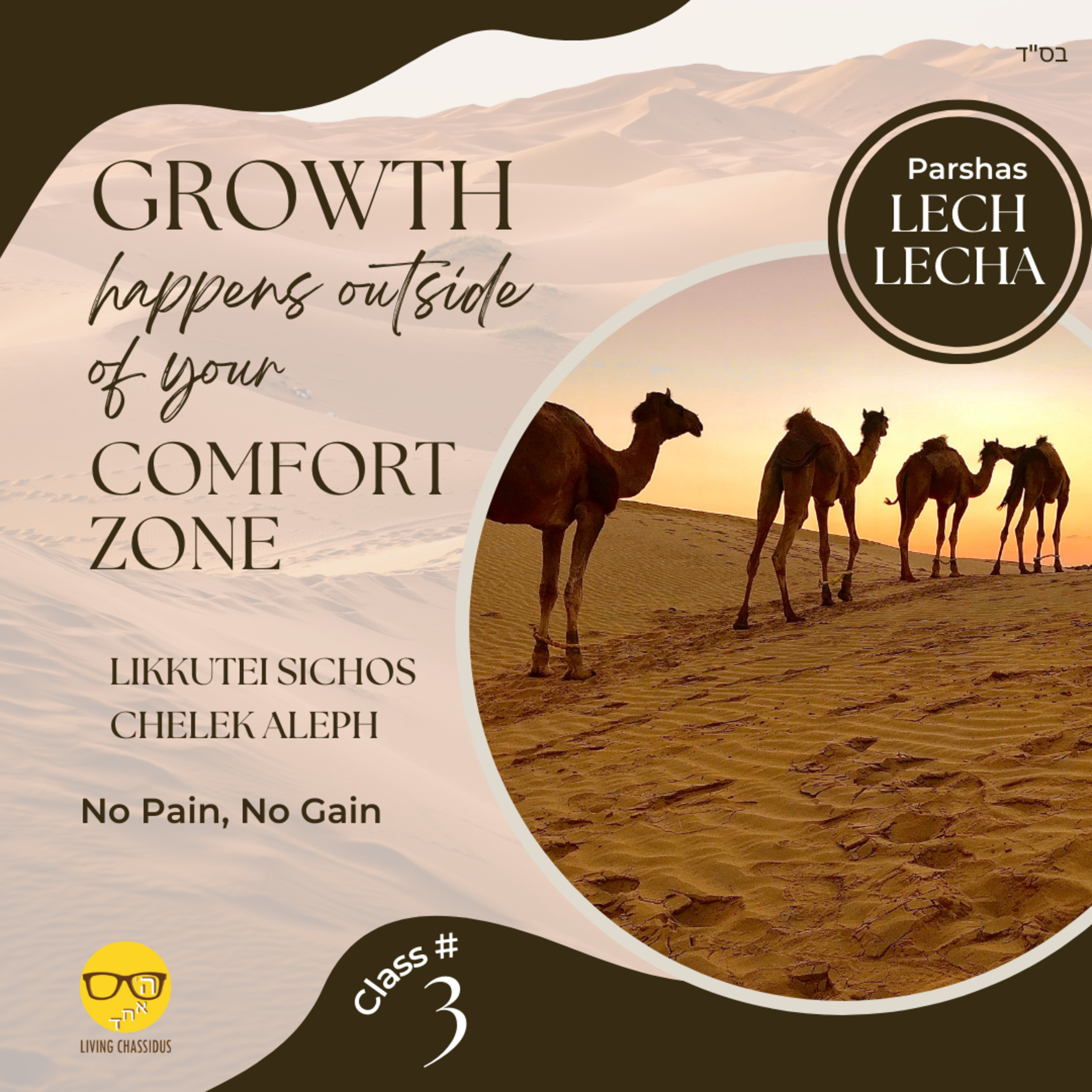 Daily Zoom Shiur for Lech Lecha - How Do I Know I am Growing? Class 3 episode artwork