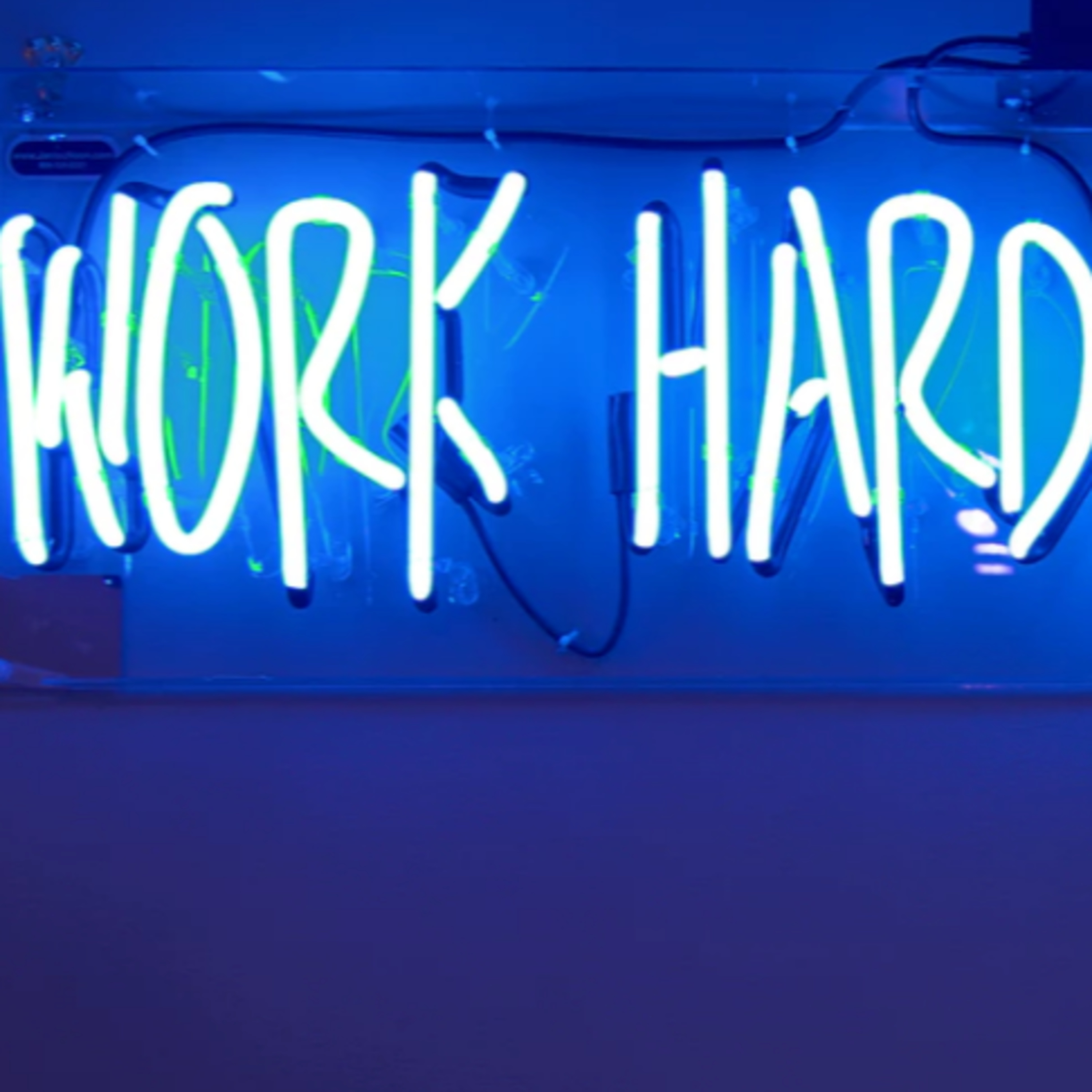 The Working Experience