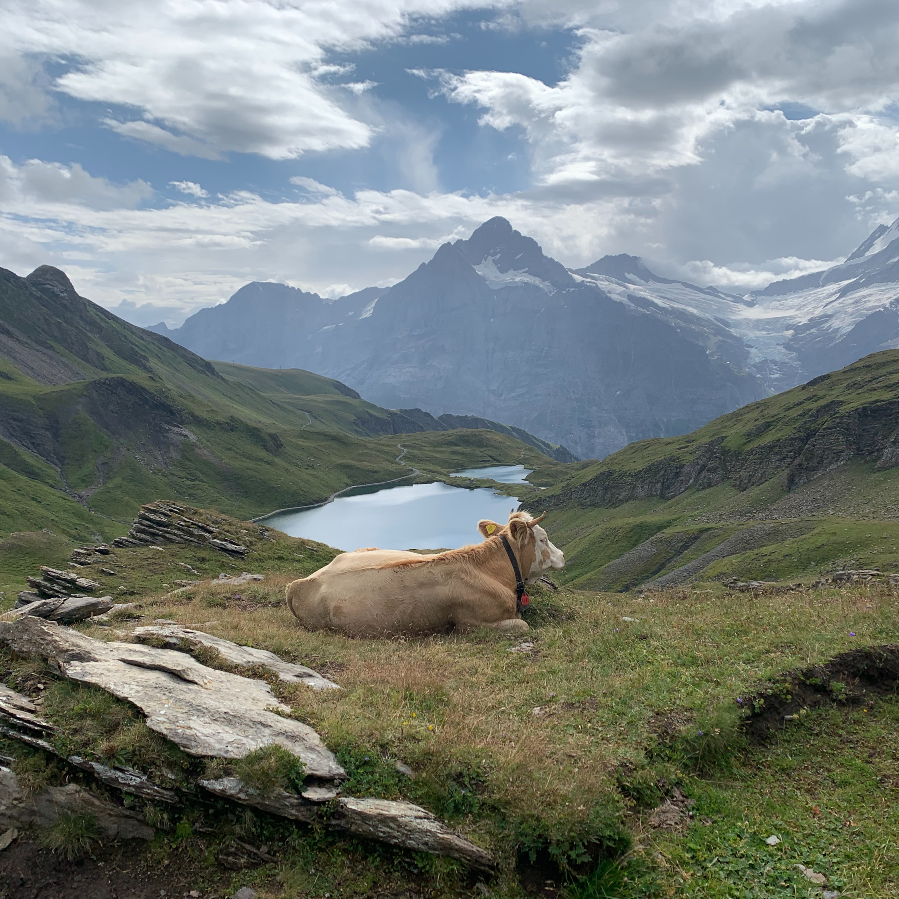 Knut & Adriaan Podcast