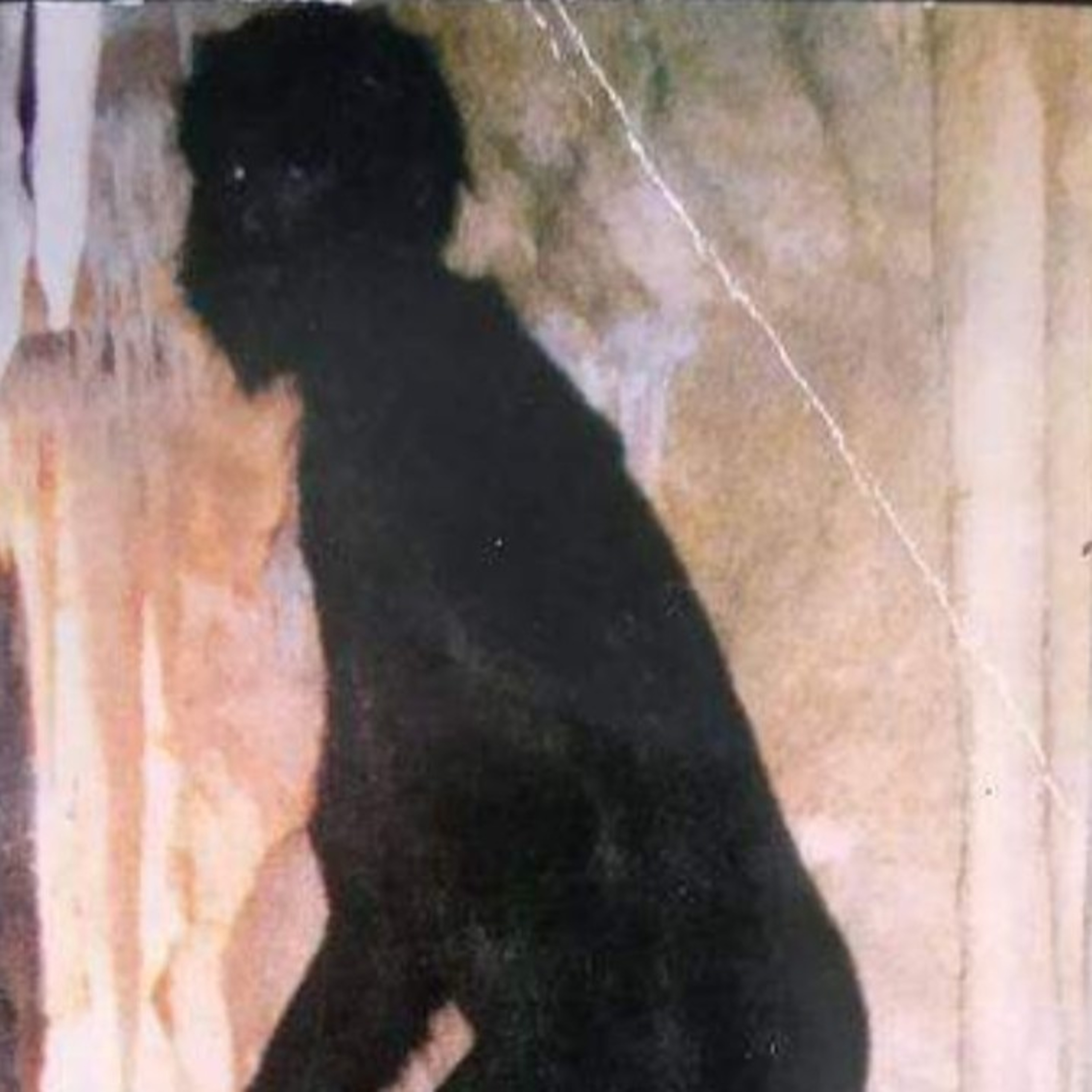 ECBRO BIGFOOT RADIO