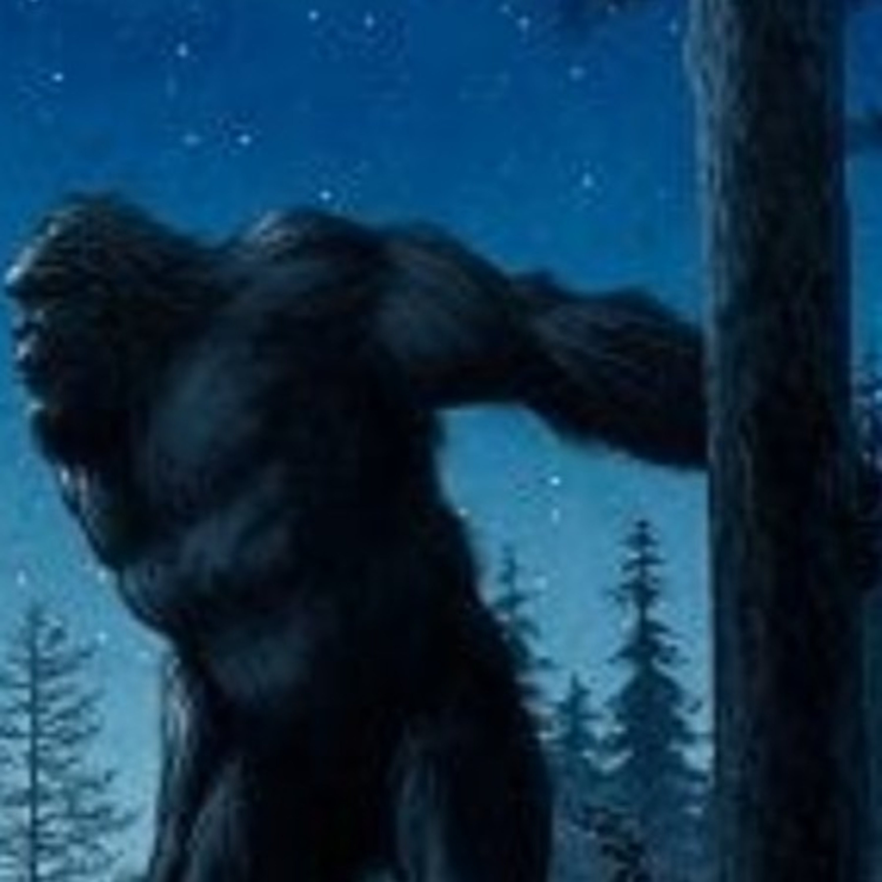 ECBRO BIGFOOT RADIO