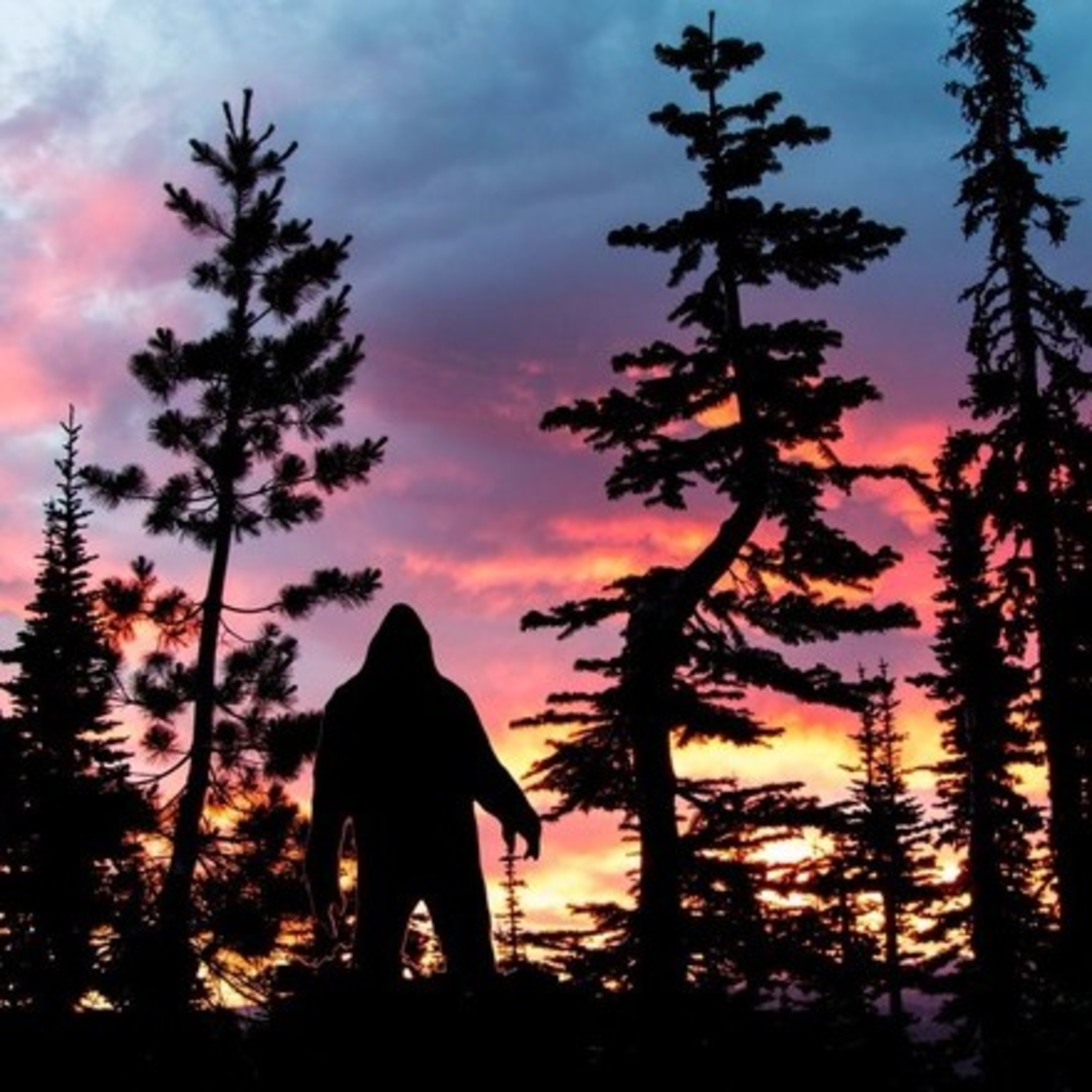 ECBRO BIGFOOT RADIO