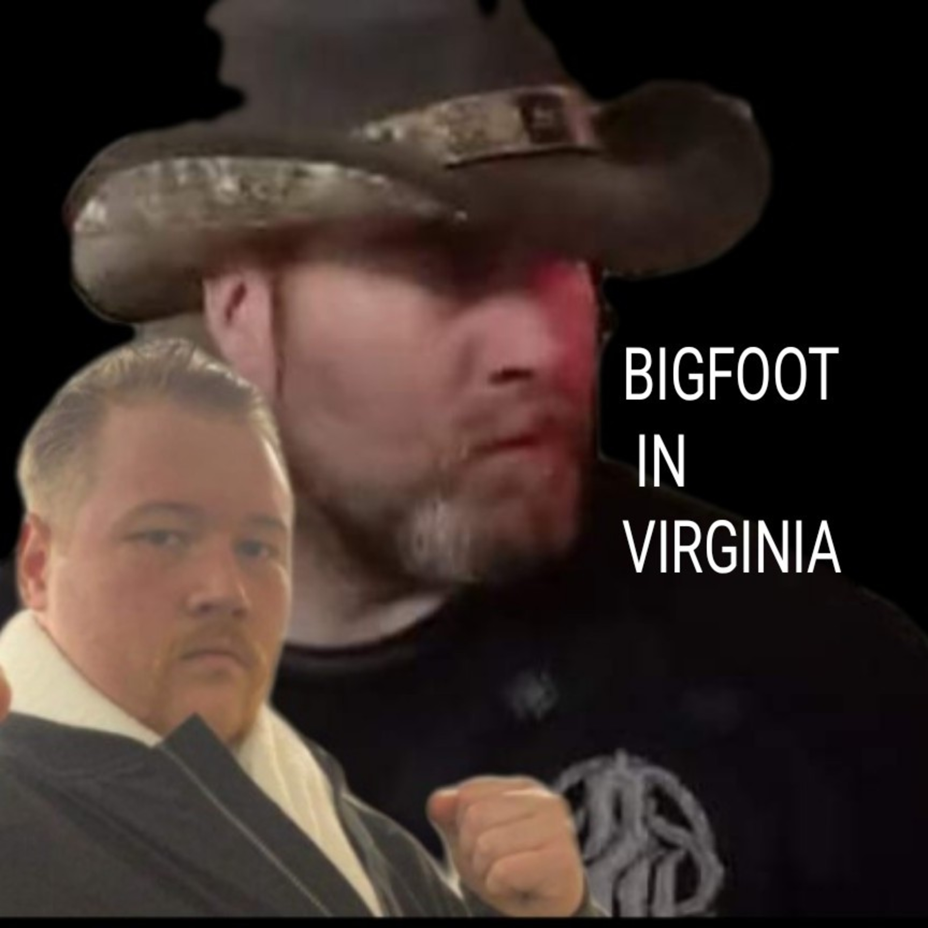 ECBRO BIGFOOT RADIO