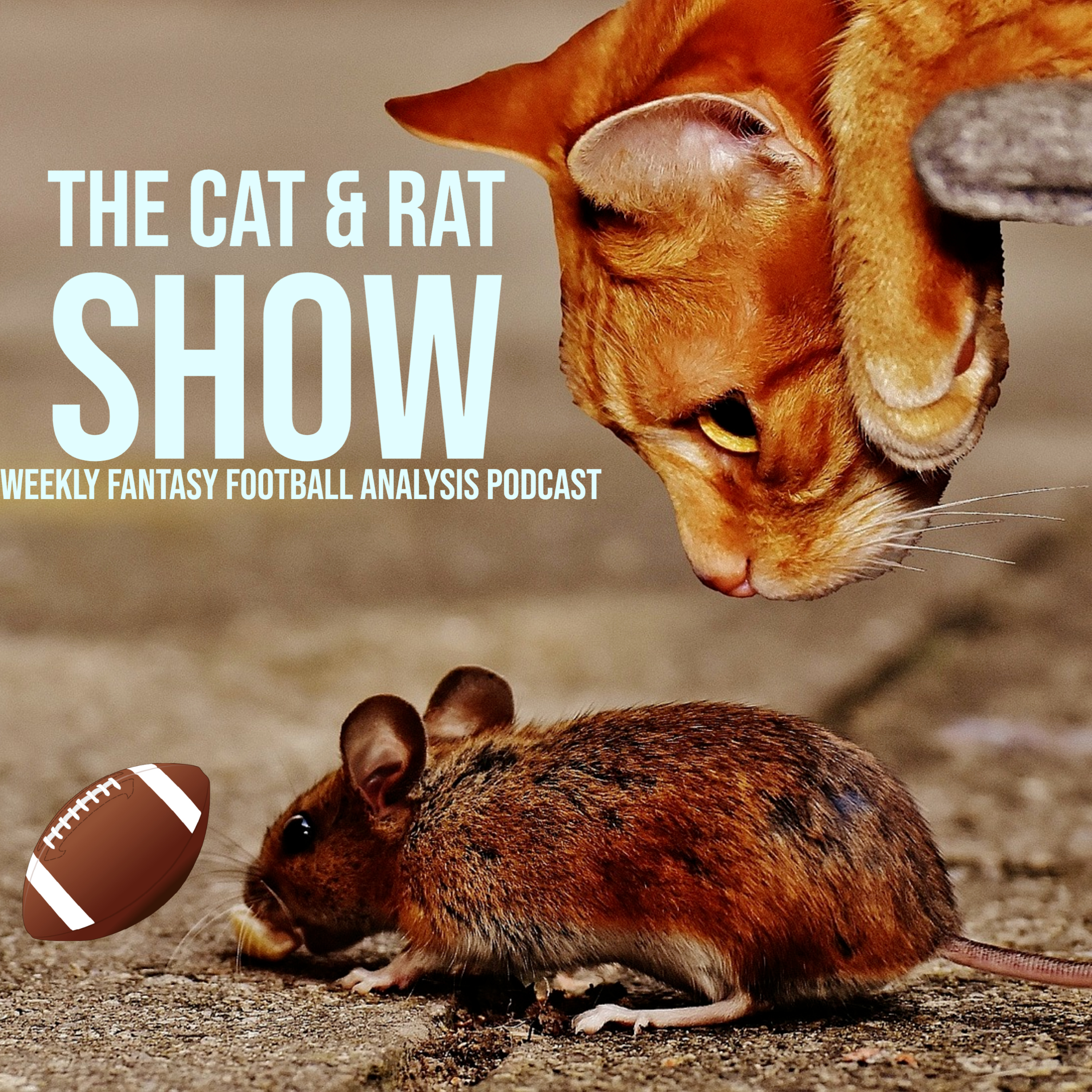 The Cat & The Rat Show: Weekly Fantasy Football Analysis Podcast
