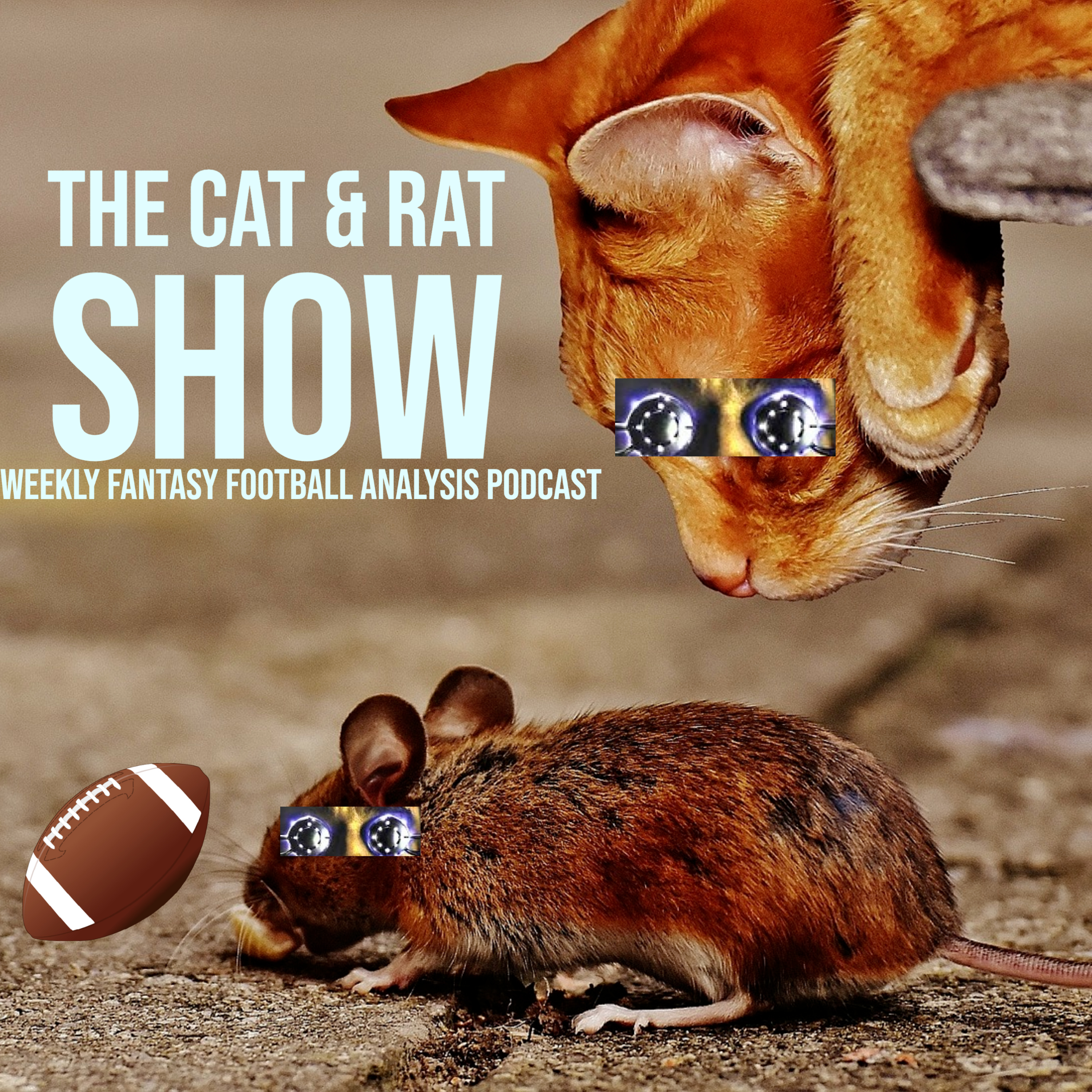 The Cat & The Rat Show: Weekly Fantasy Football Analysis Podcast