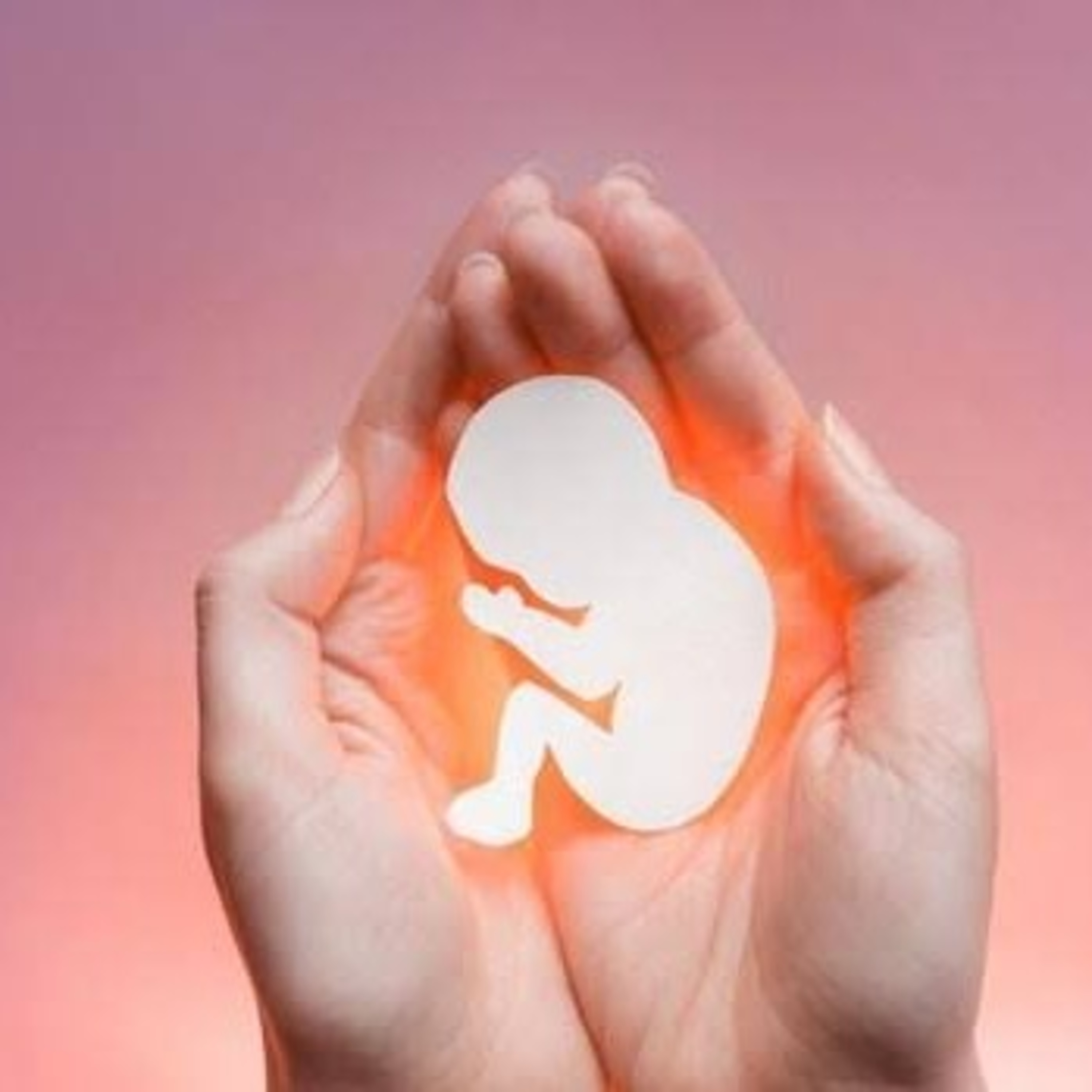 EL ABORTO  episode artwork