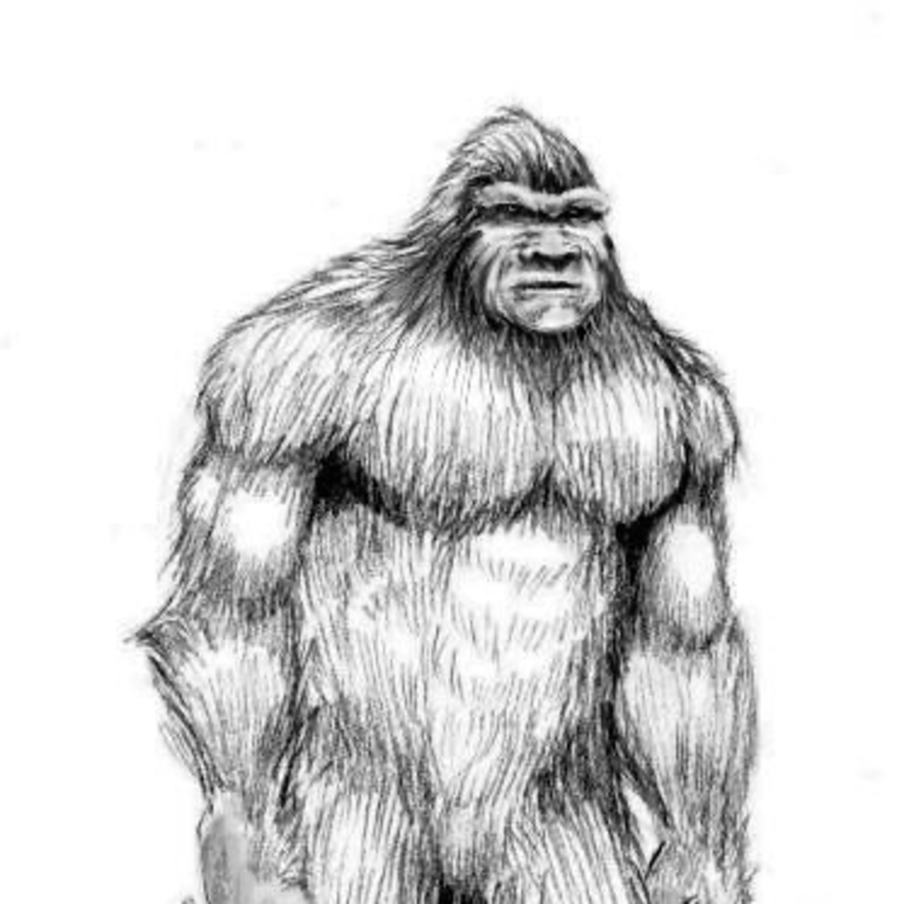Wrestling with Monsters