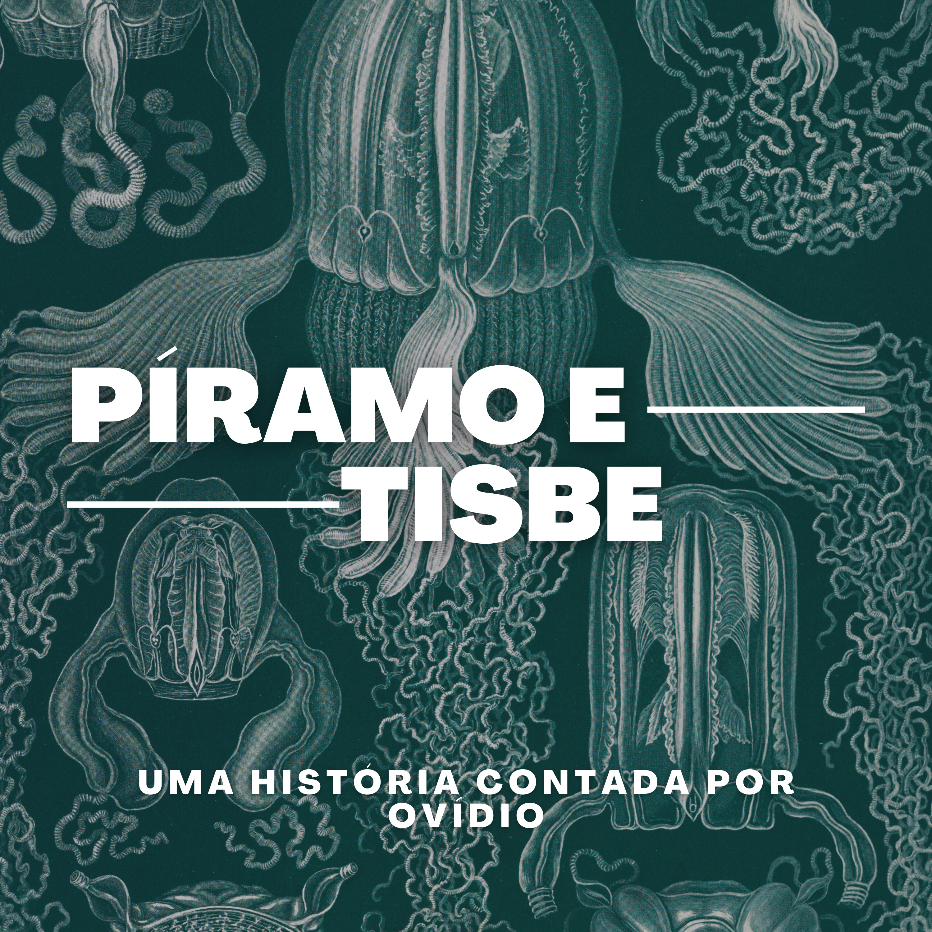 Leituras Compartilhadas