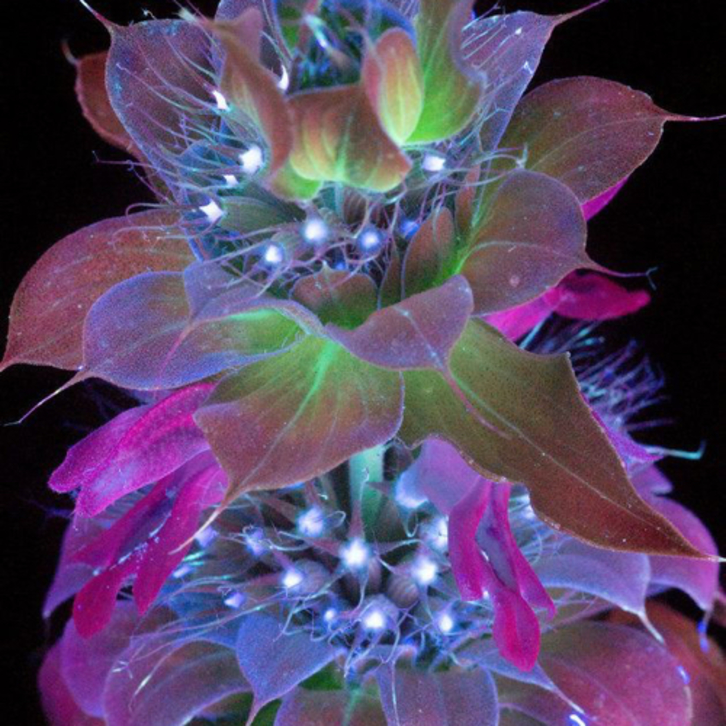 Cosmic dust
