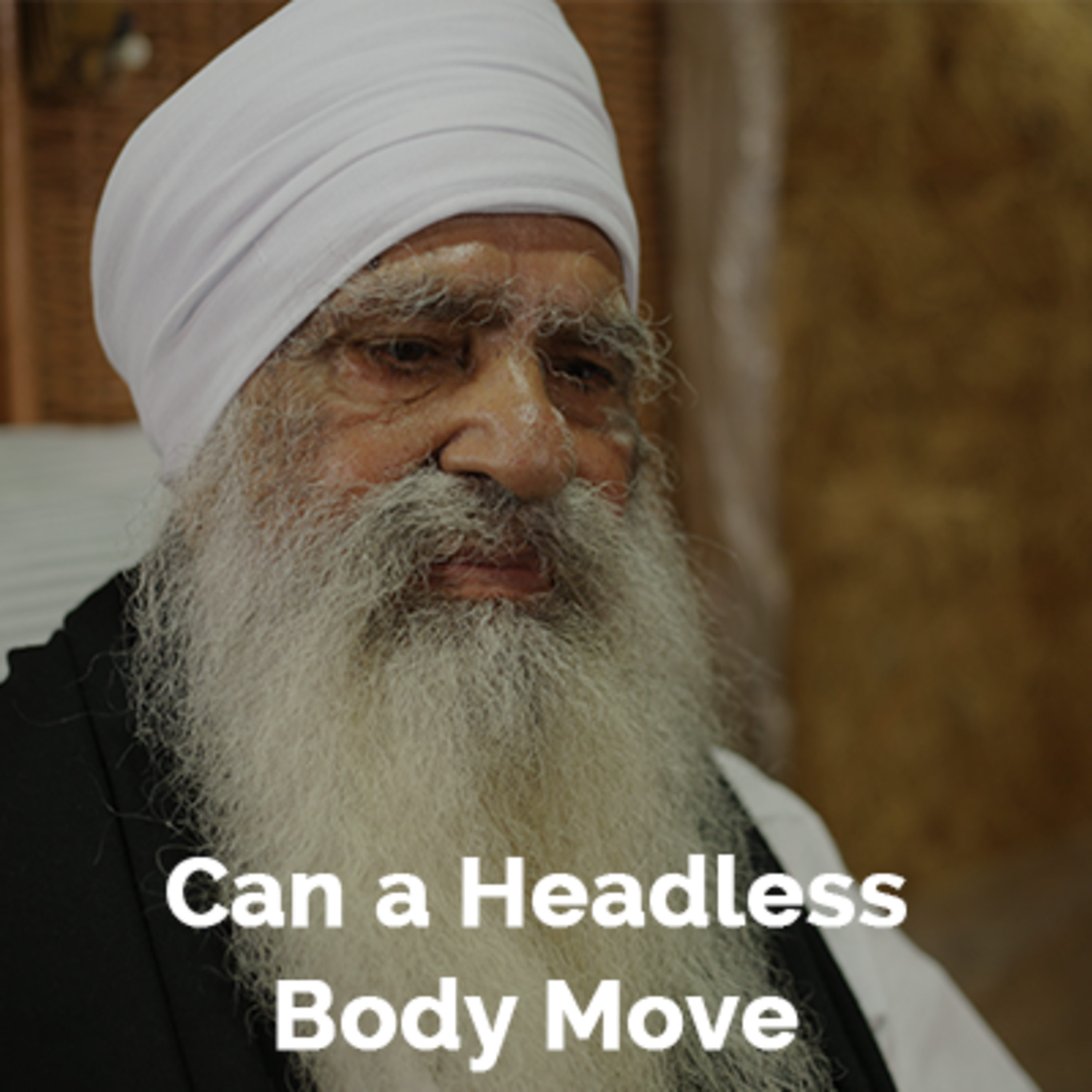 Some People Doubt How Baba Deep Singh Ji could Fight with his Head over Palm?