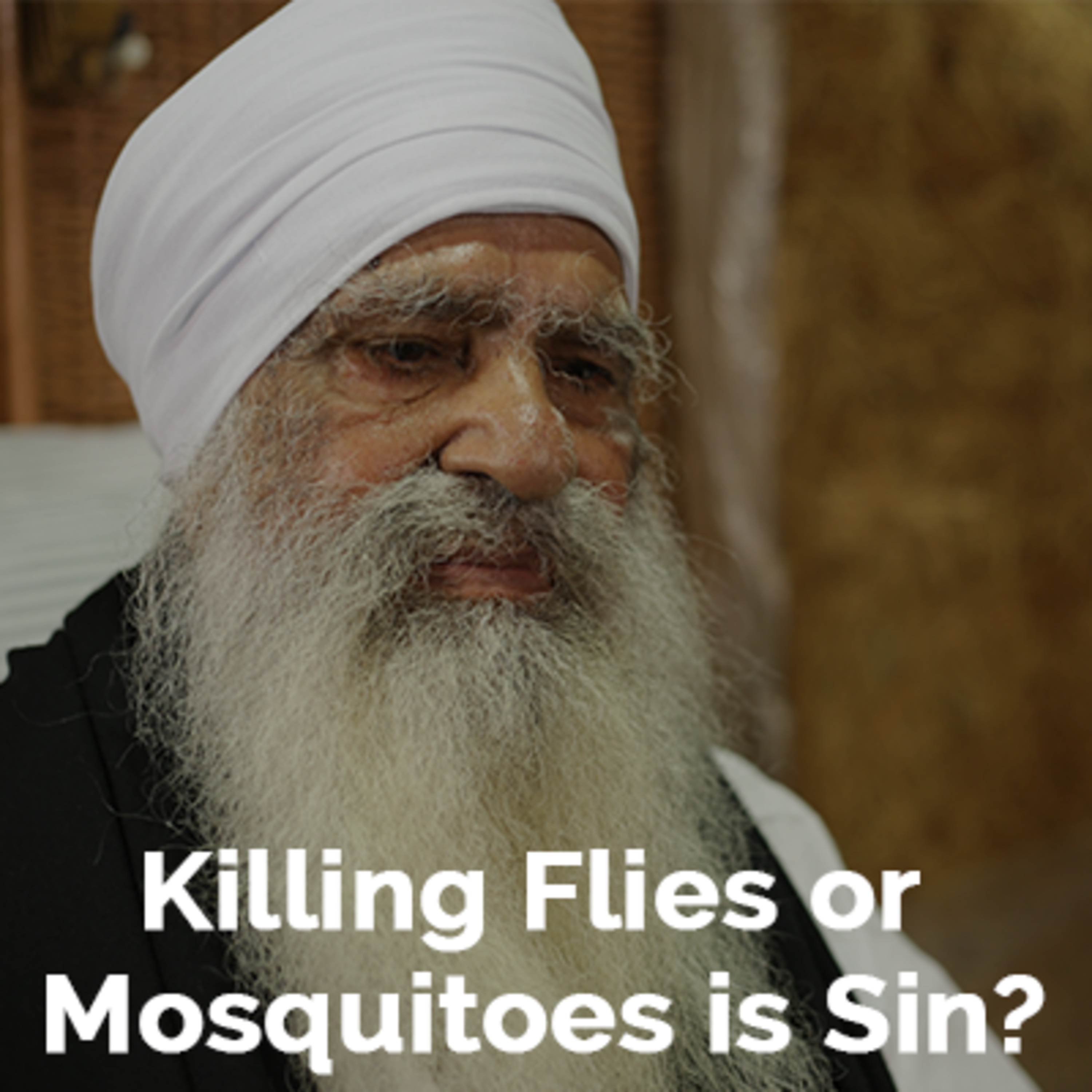 We kill Mosquitoes & Flies for our convenience. Is it a Sin?