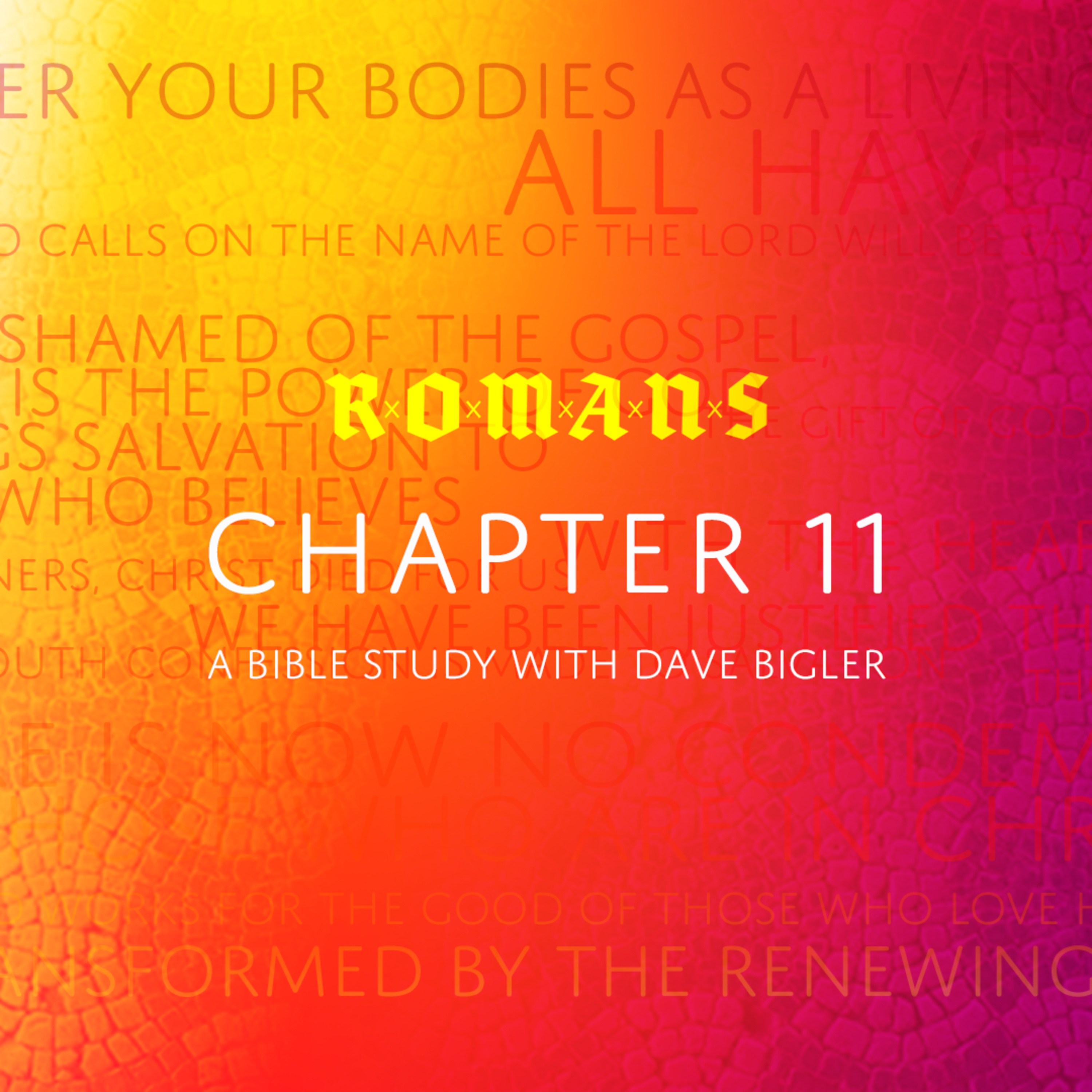 Romans 11 - God is not Done with Israel. A Bible Study. episode artwork