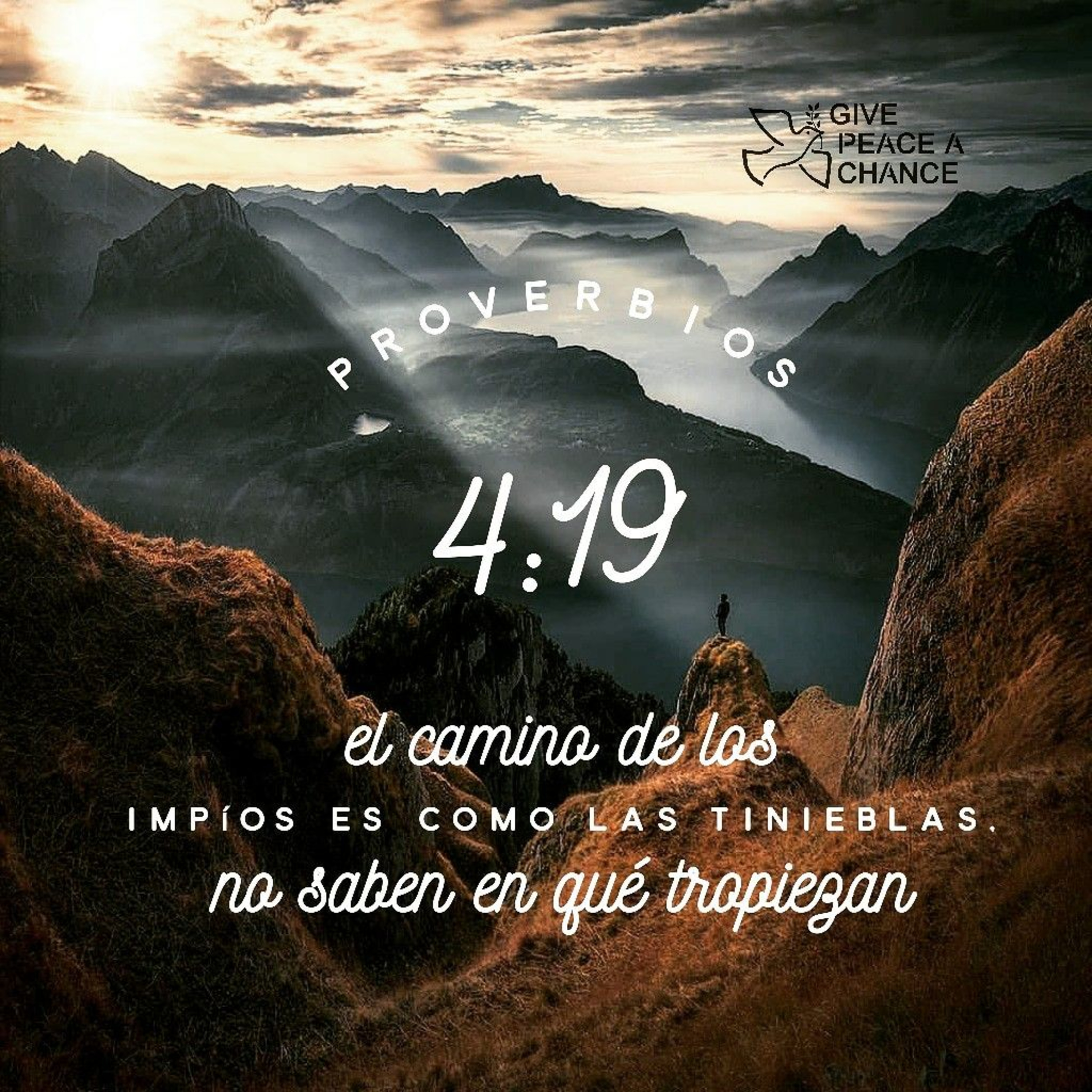 Julian David Rodriguez Rojas
