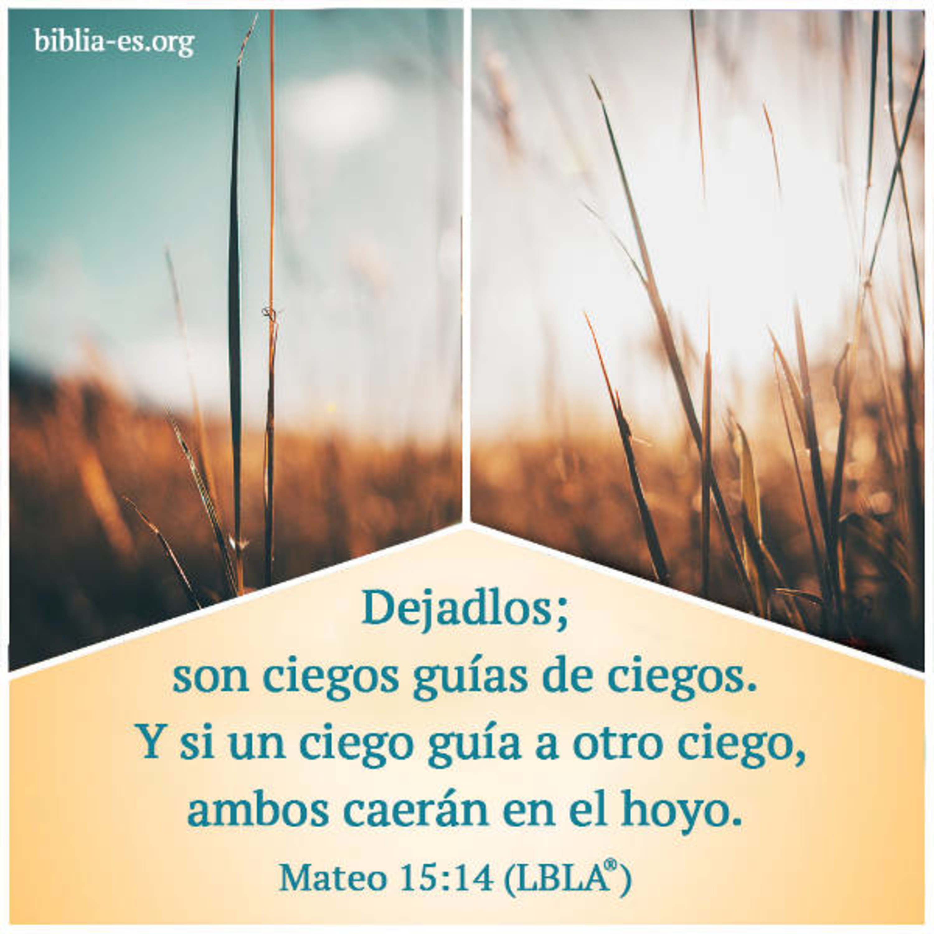 Julian David Rodriguez Rojas