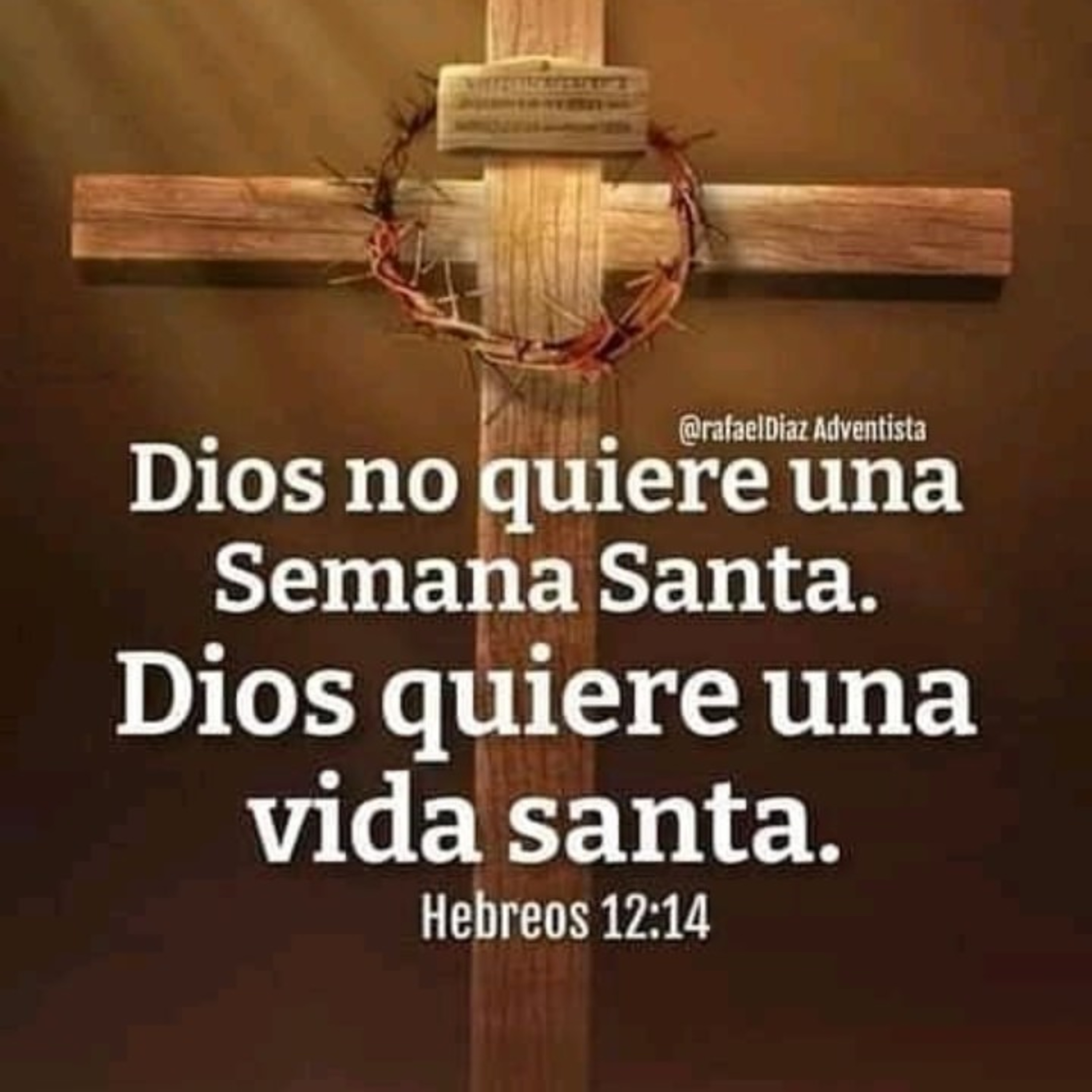 Julian David Rodriguez Rojas