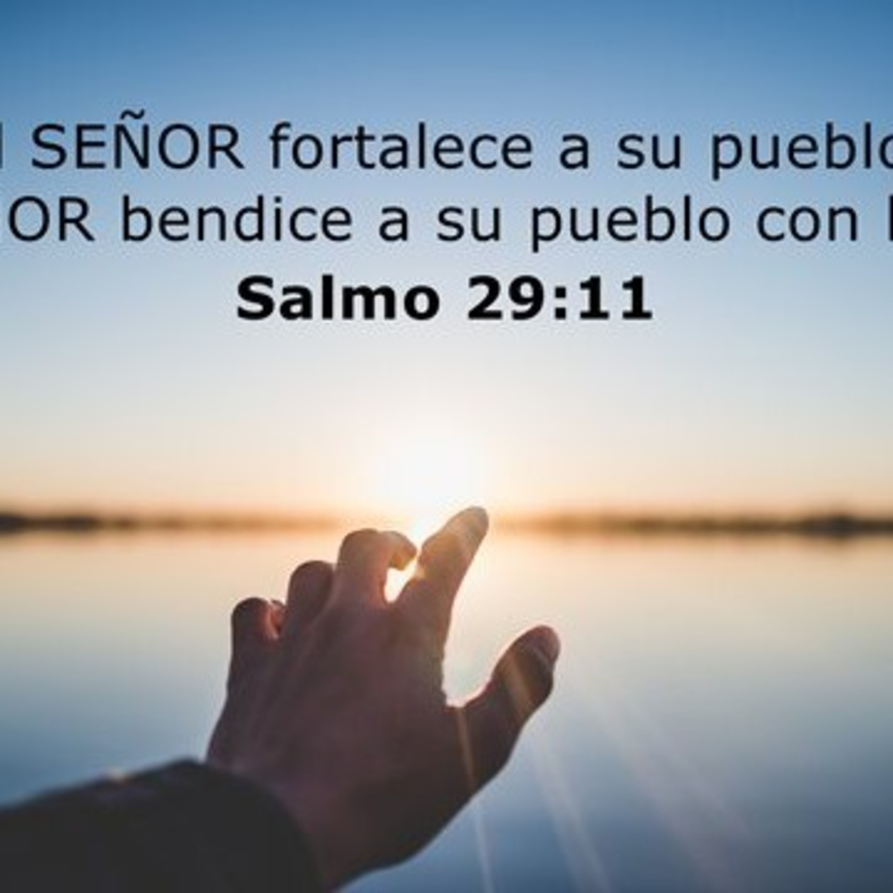 Julian David Rodriguez Rojas