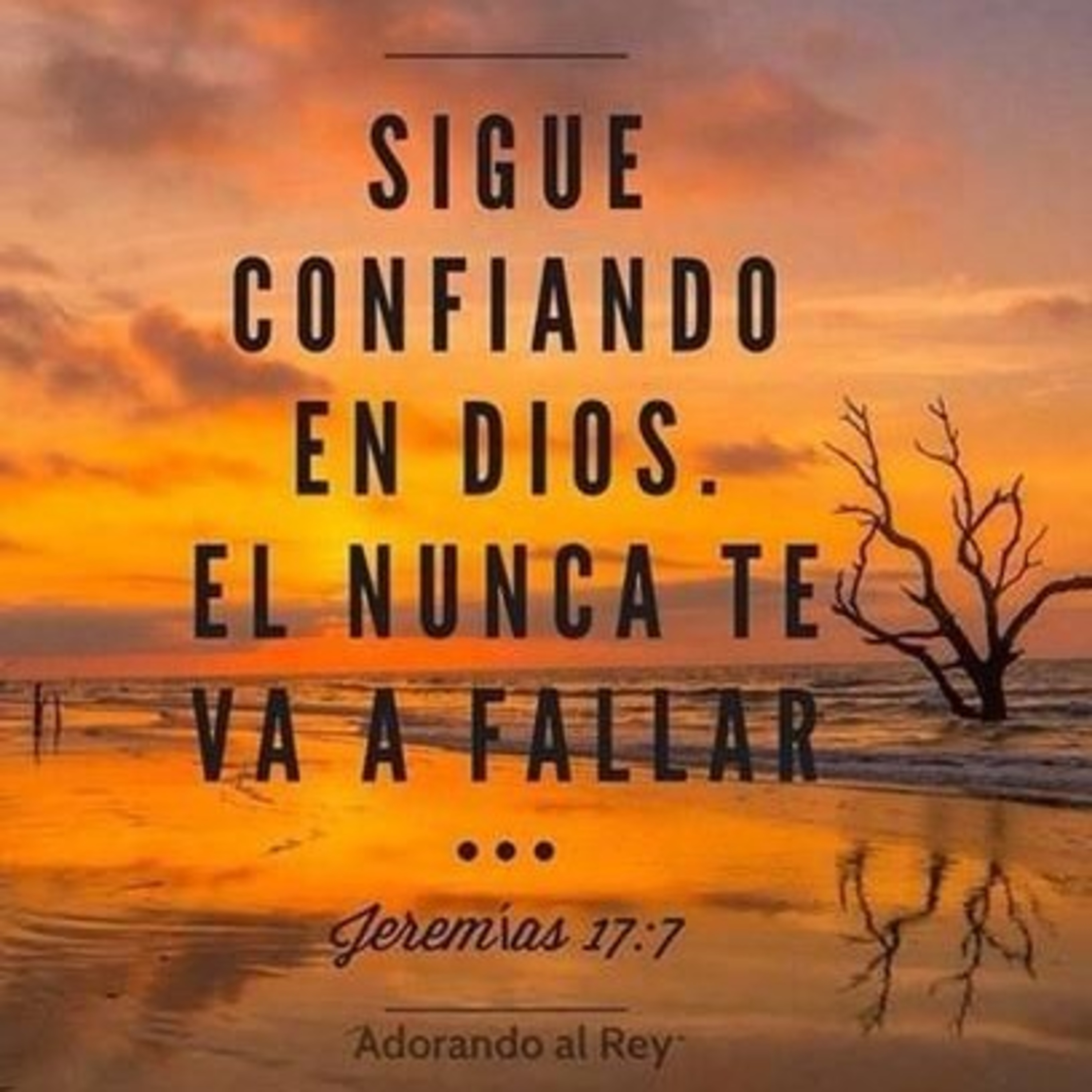 Julian David Rodriguez Rojas