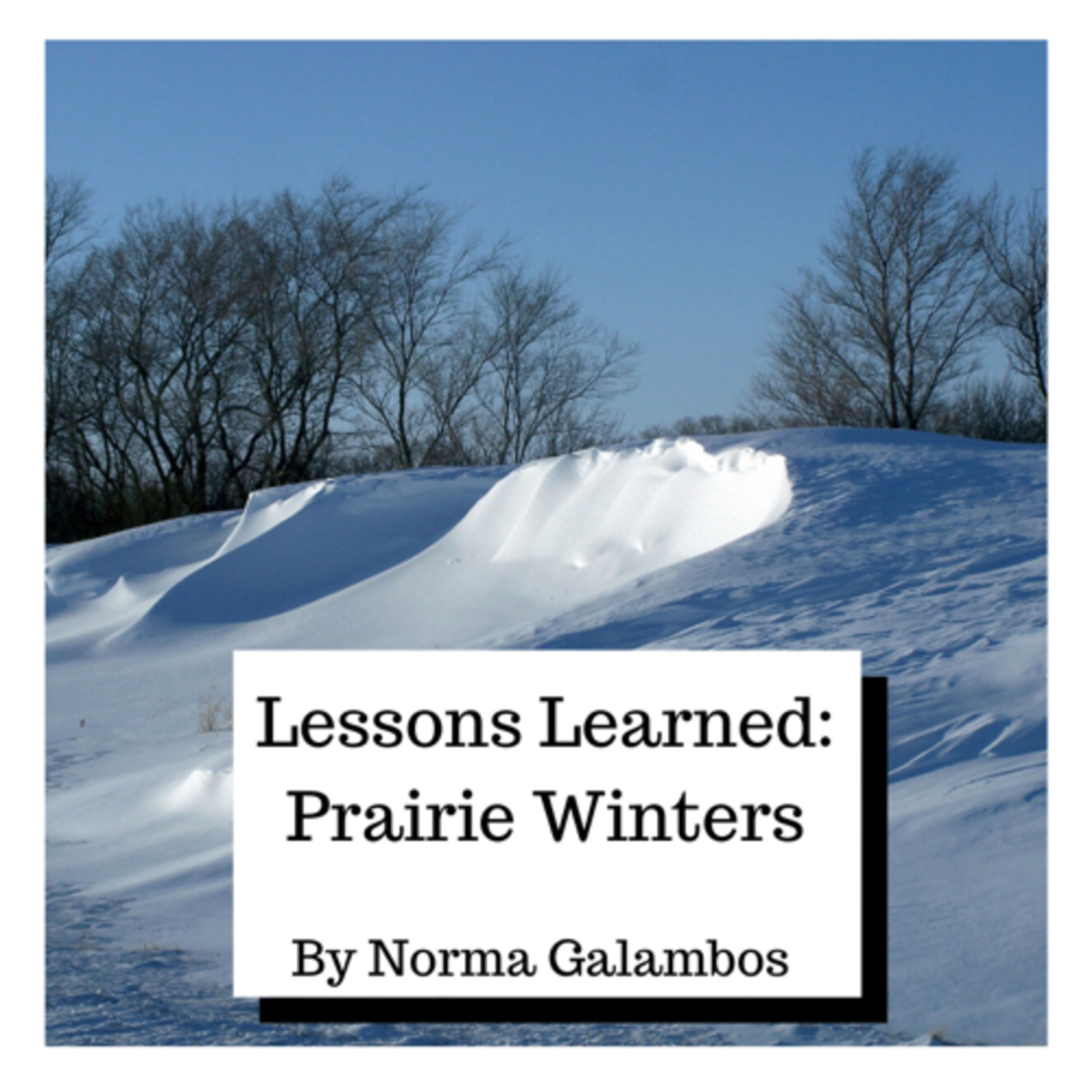 Norma Galambos Lifestyle Podcast