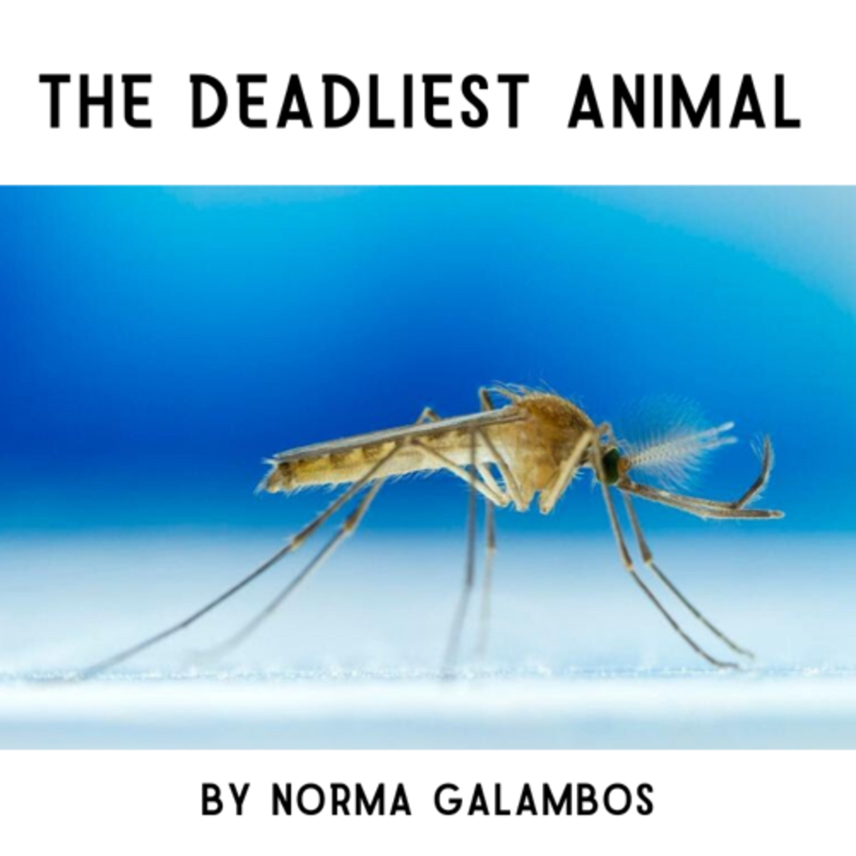 Norma Galambos Lifestyle Podcast
