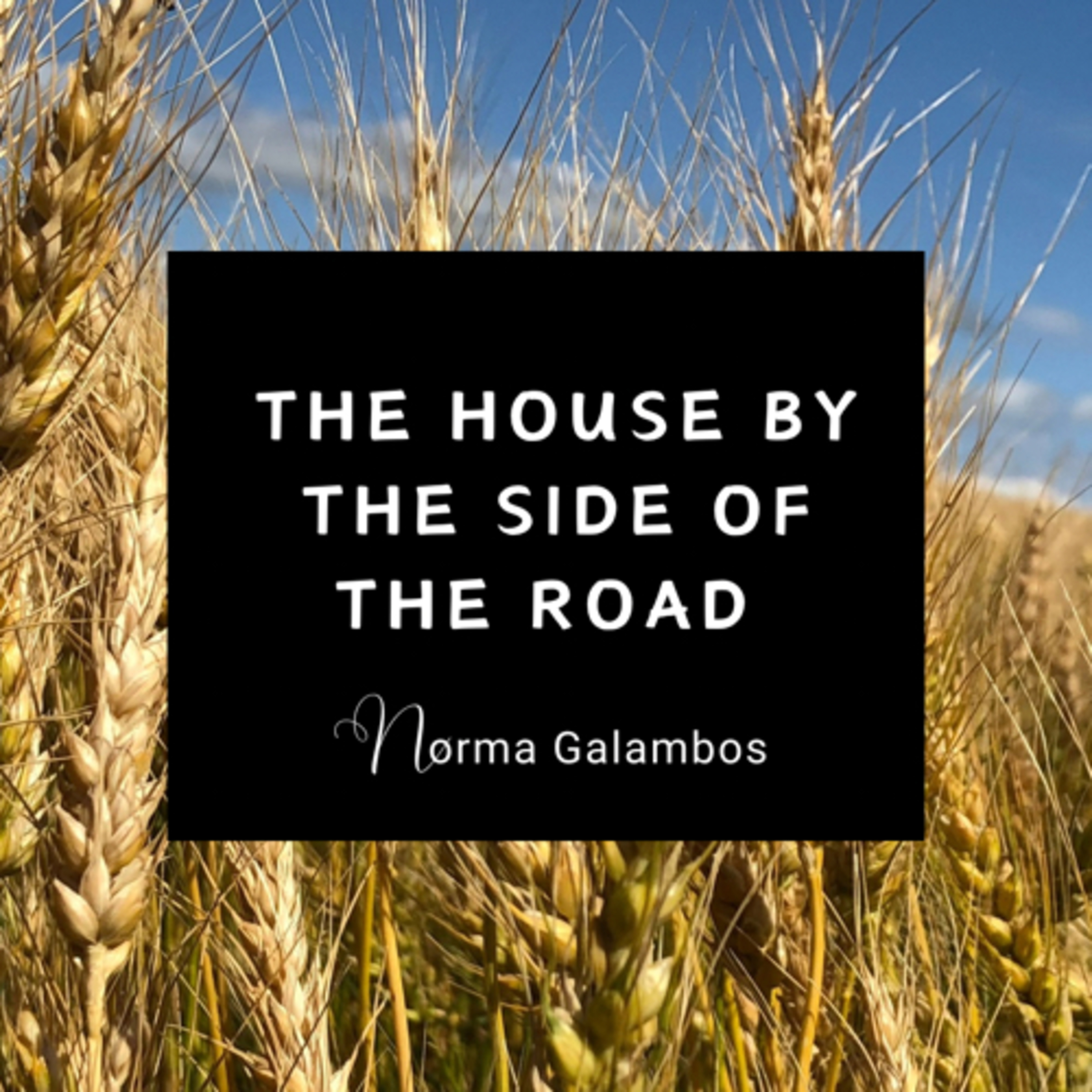 Norma Galambos Lifestyle Podcast