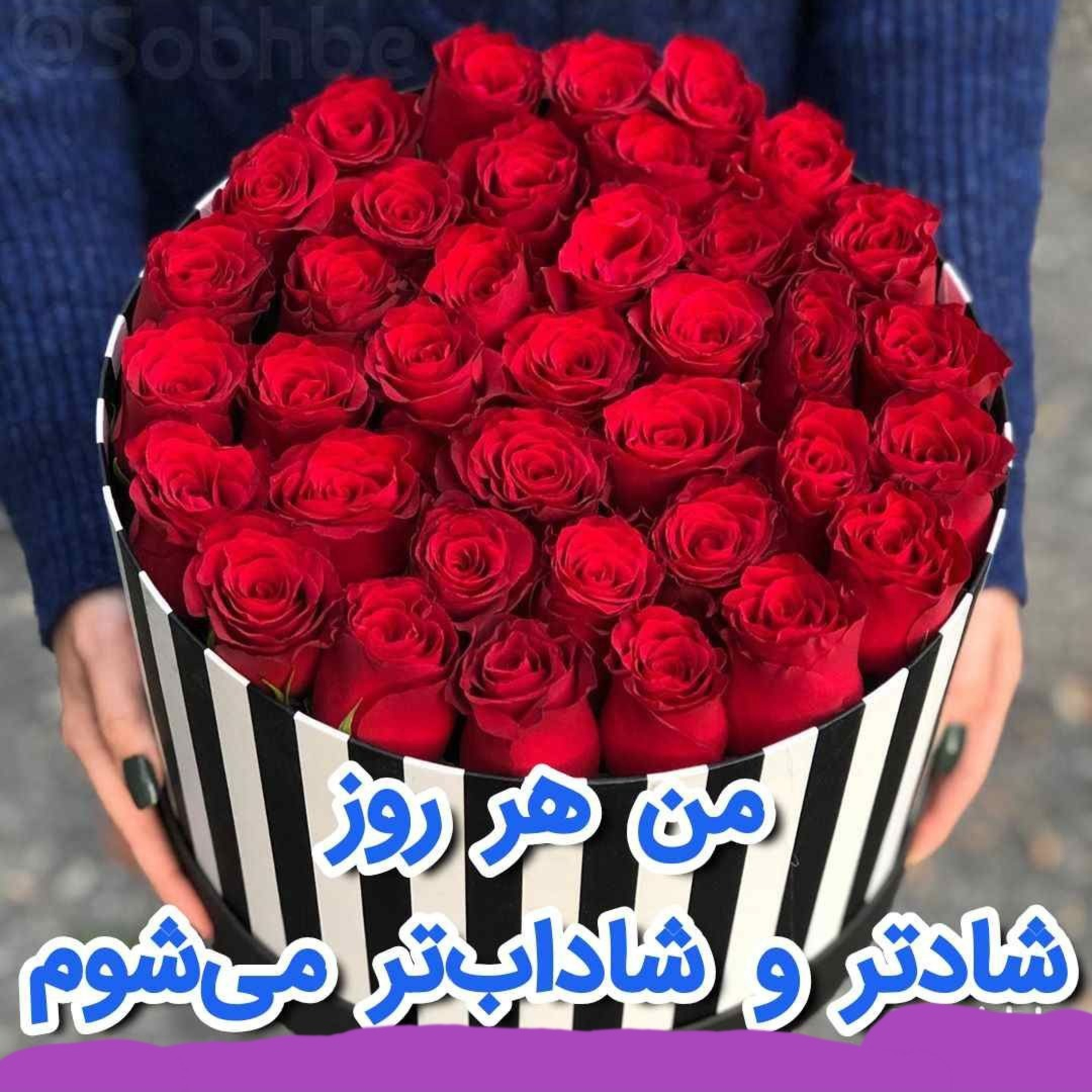 کاور رموز شادابی در زندگی