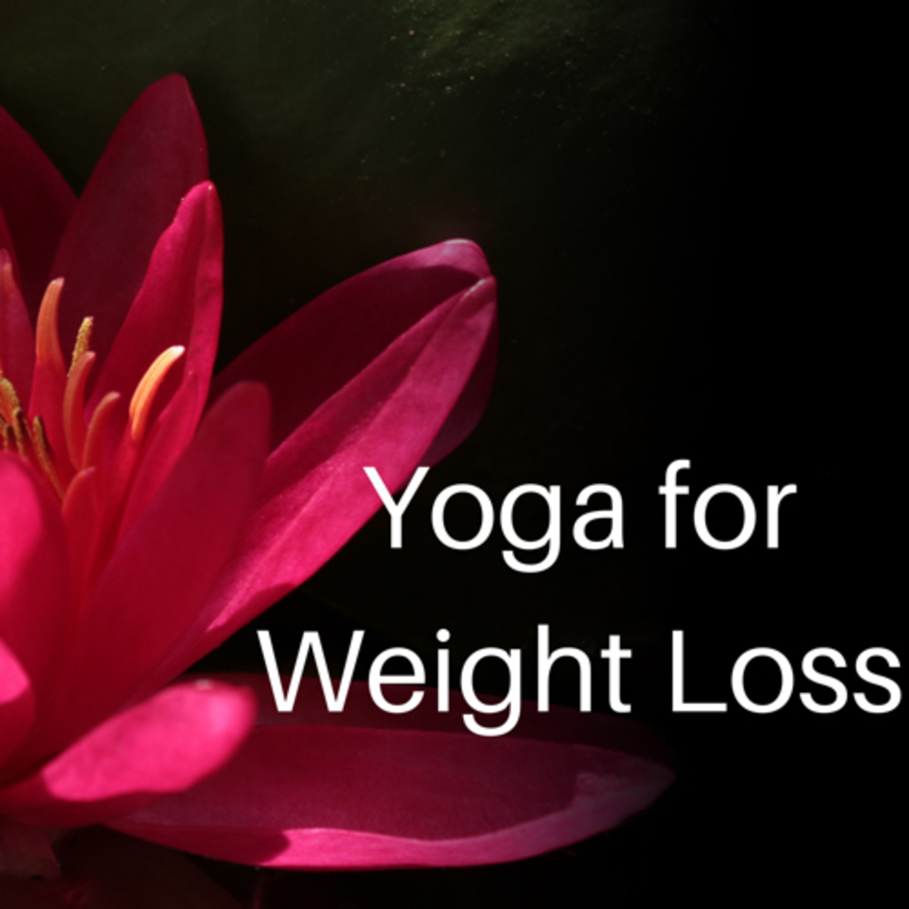 Mindful Weight Loss Tip #3 episode artwork