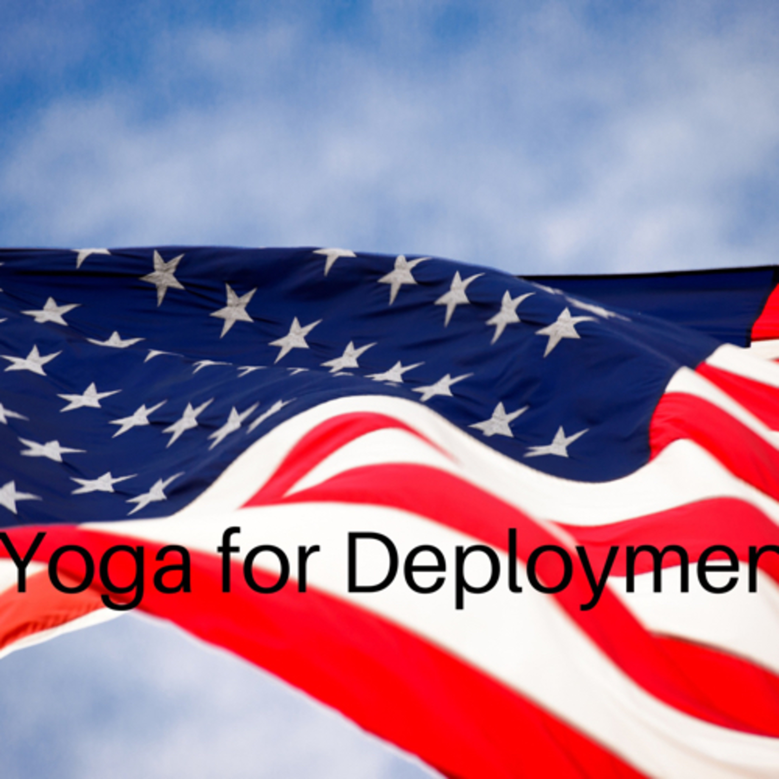 Yoga Traveler