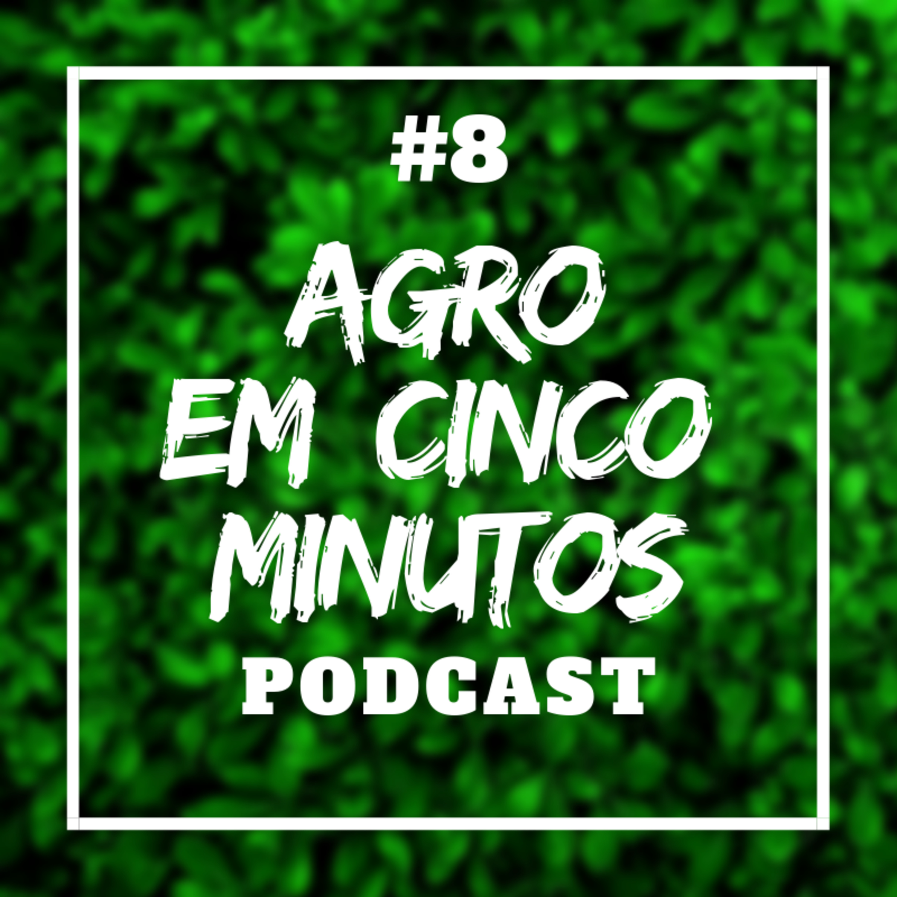 Agro em Cinco Minutos