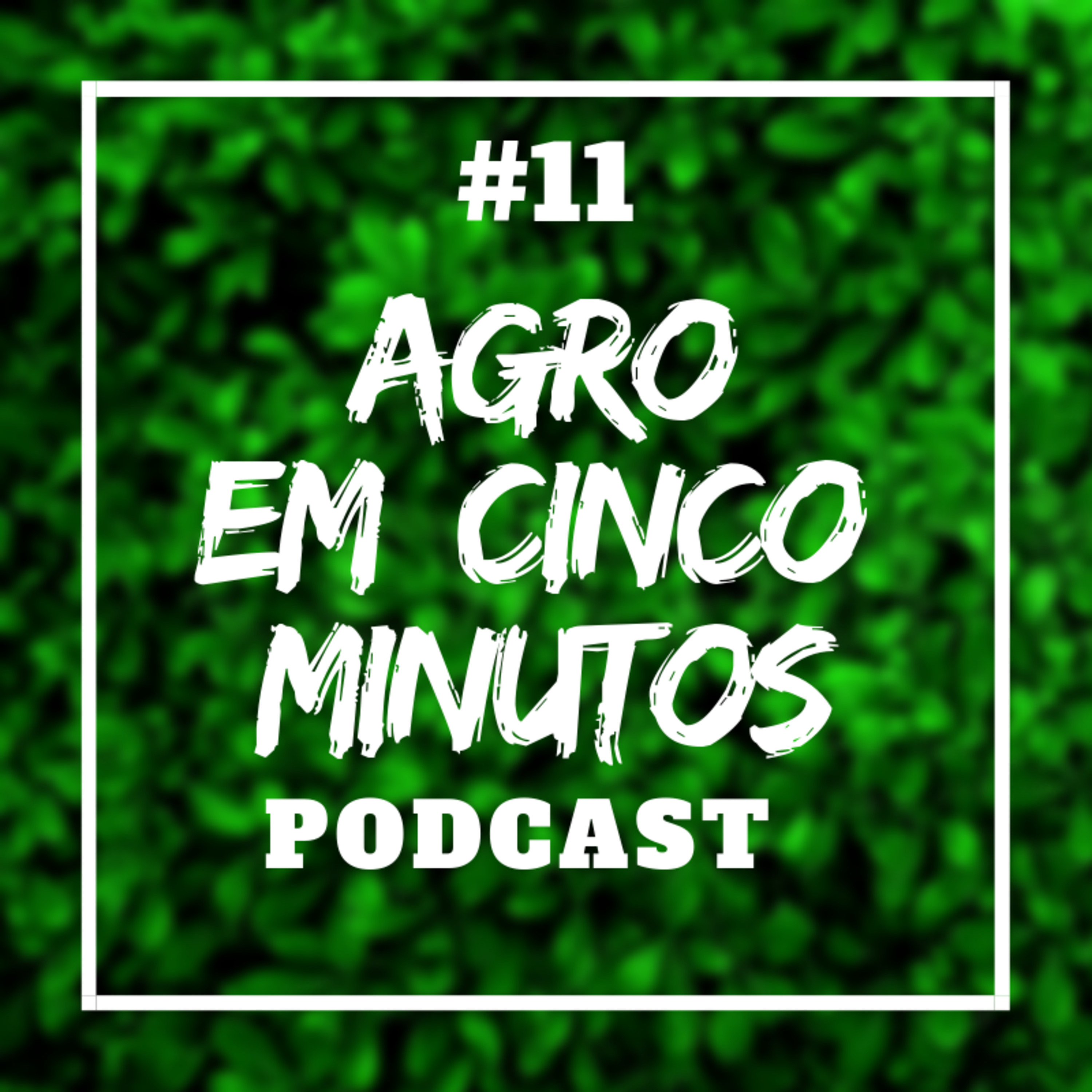 Agro em Cinco Minutos