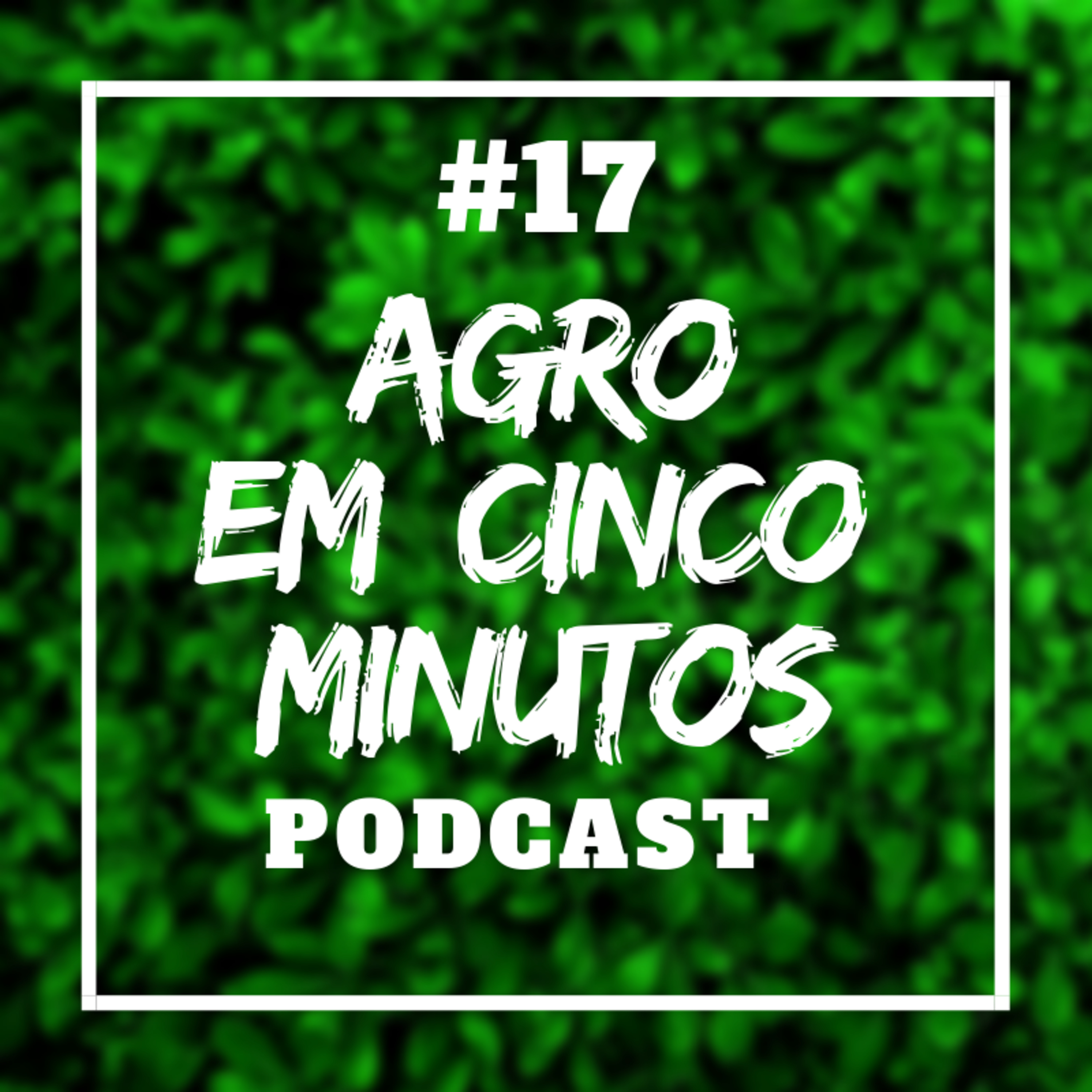 Agro em Cinco Minutos