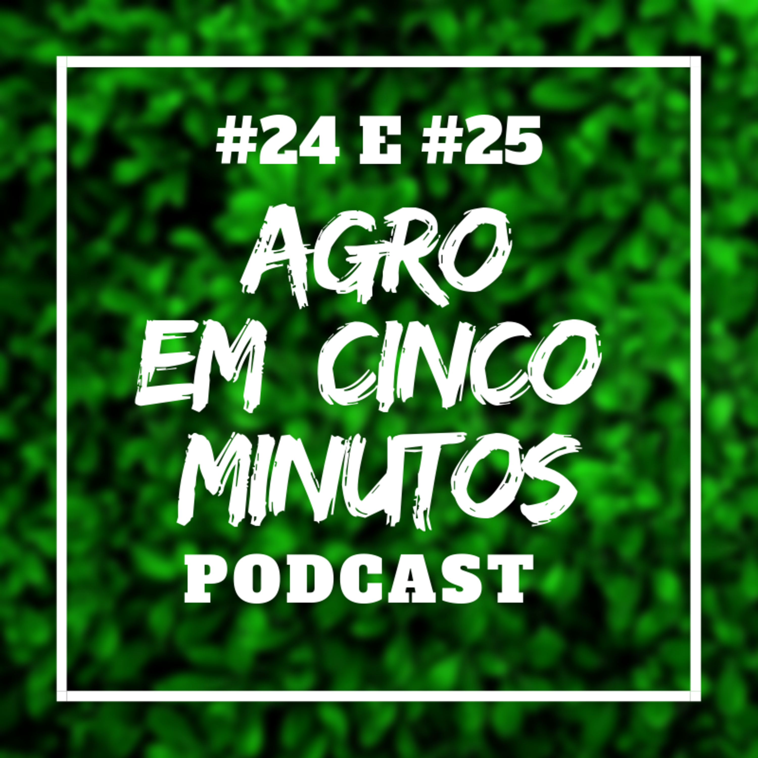Agro em Cinco Minutos