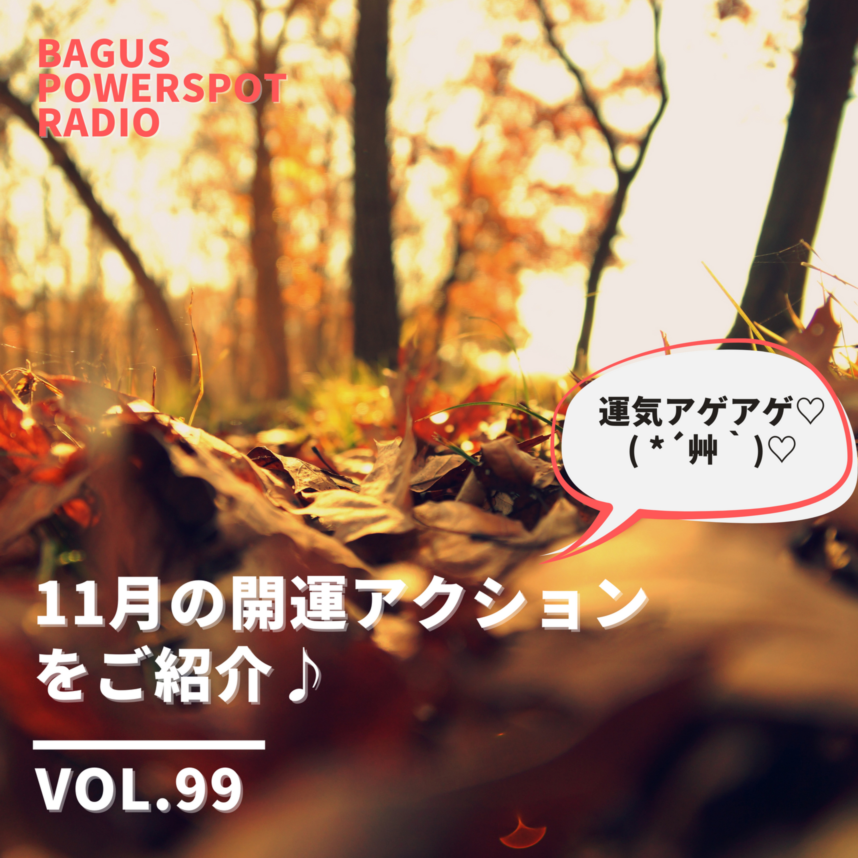 VOL.99　11月の開運アクションをご紹介！ episode artwork