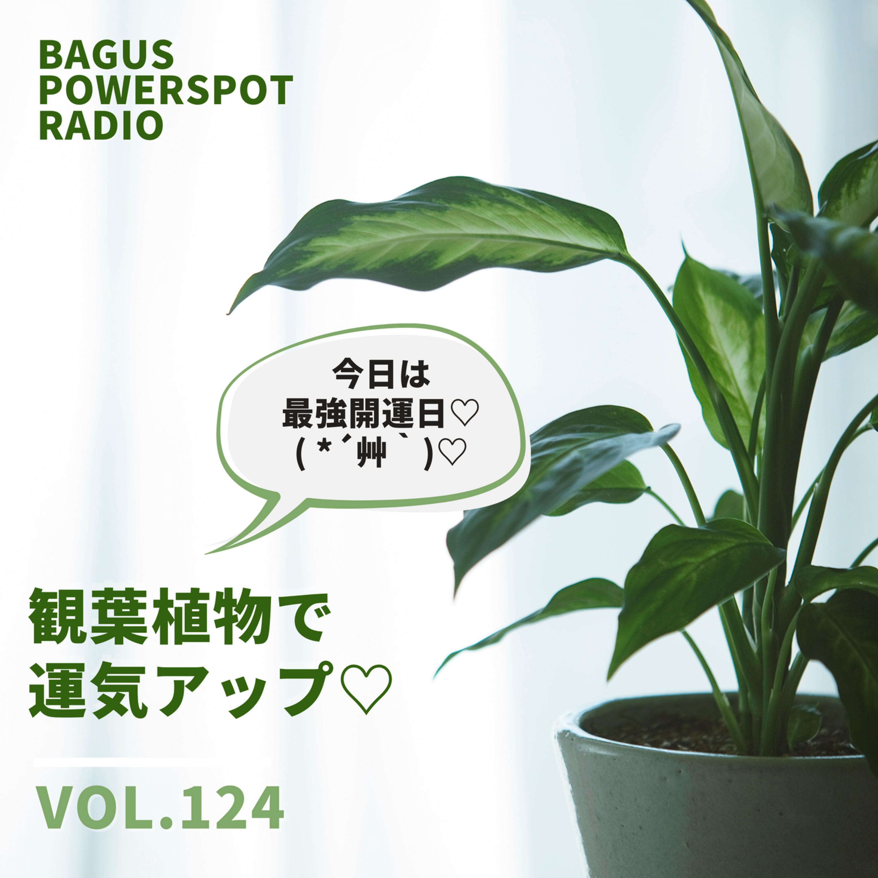 VOL.124　観葉植物で運気アップ♡ episode artwork