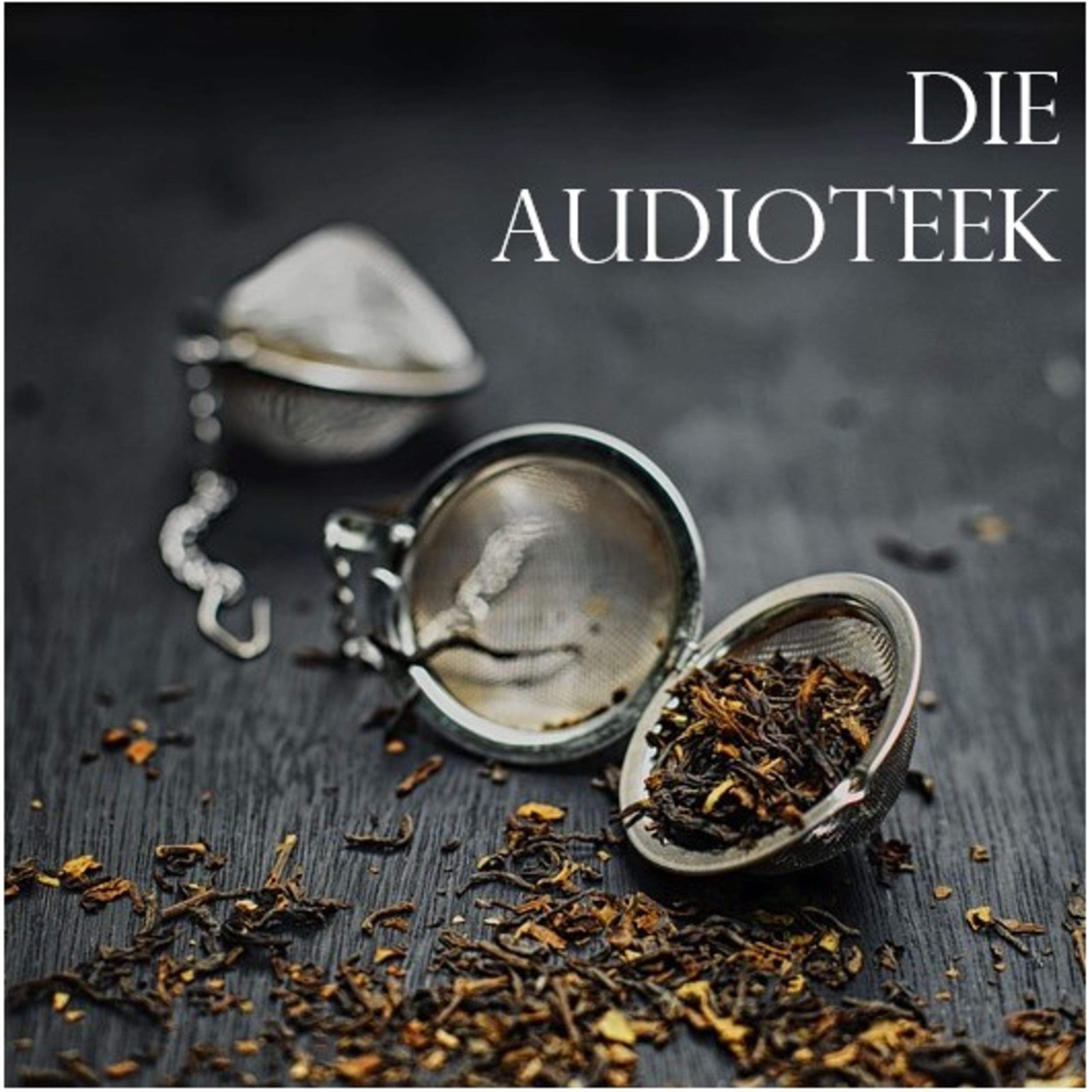 Audioteek: Folge 2 - Ja zu Europa, nein zu Europa