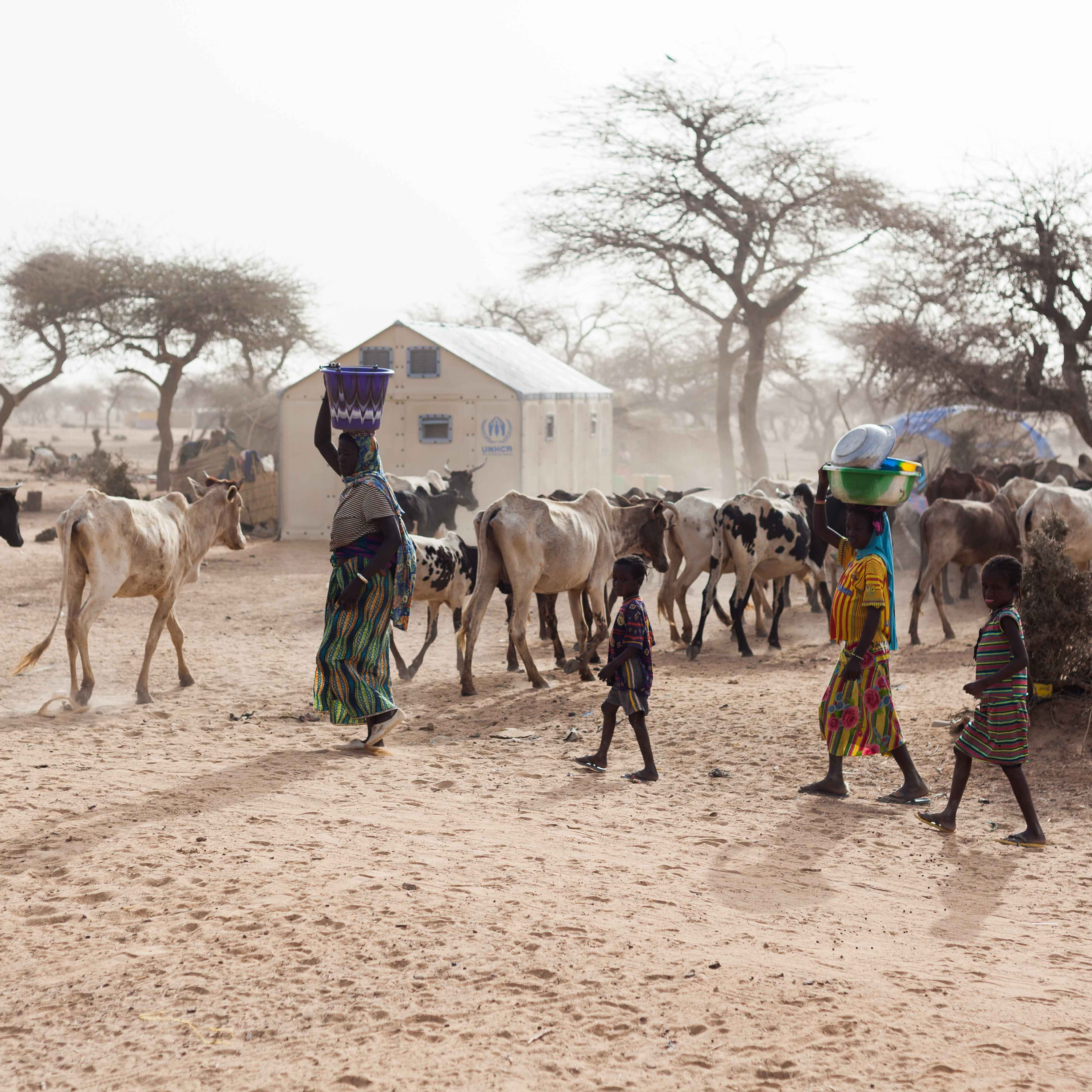 Échos du Sahel