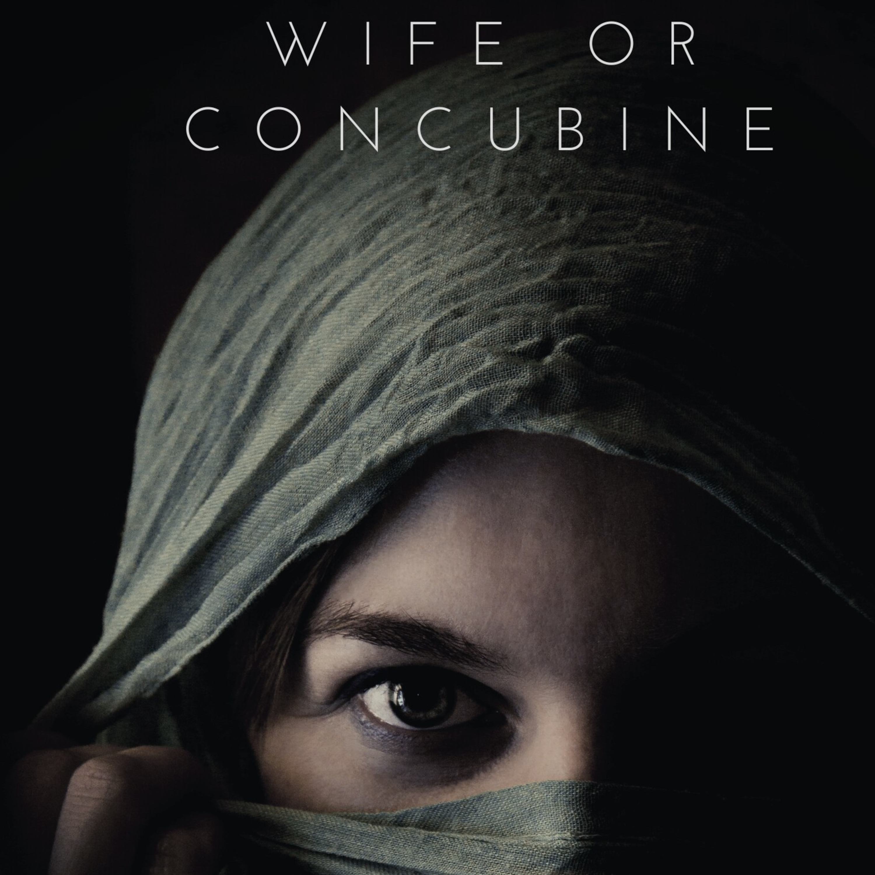 Are you a wife or concubine? episode artwork