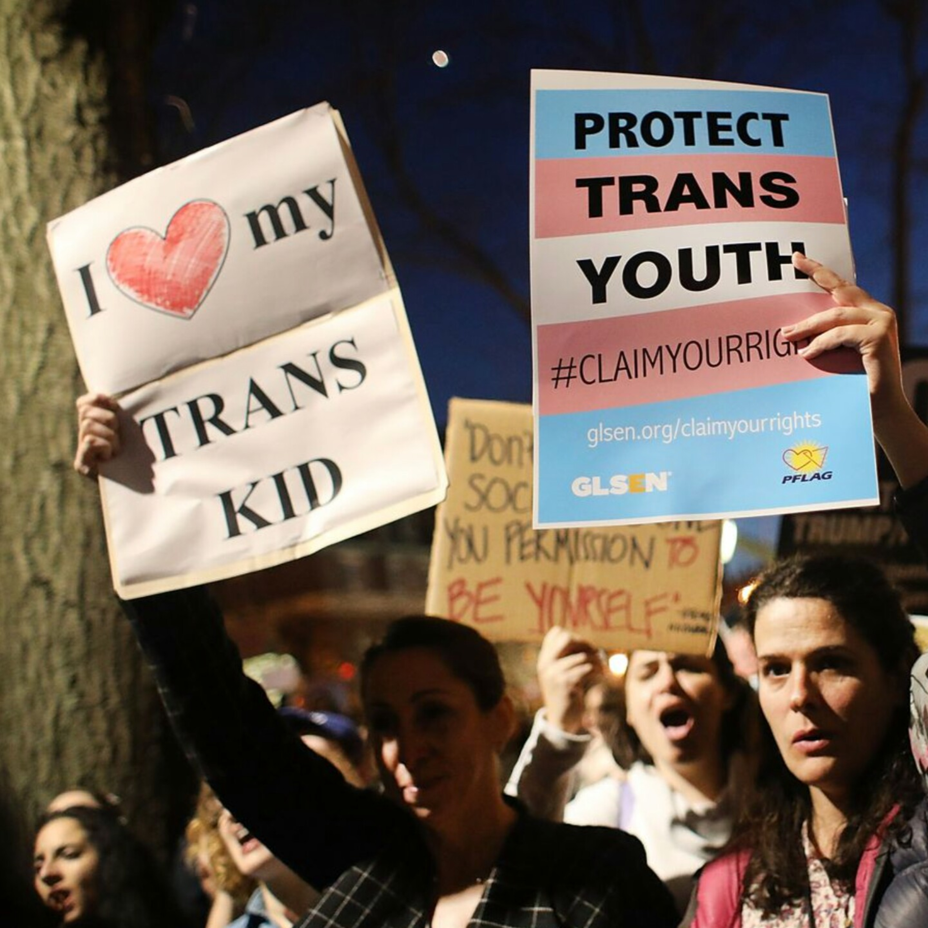 "Transgender Women: The New Face of Womanhood?" episode artwork