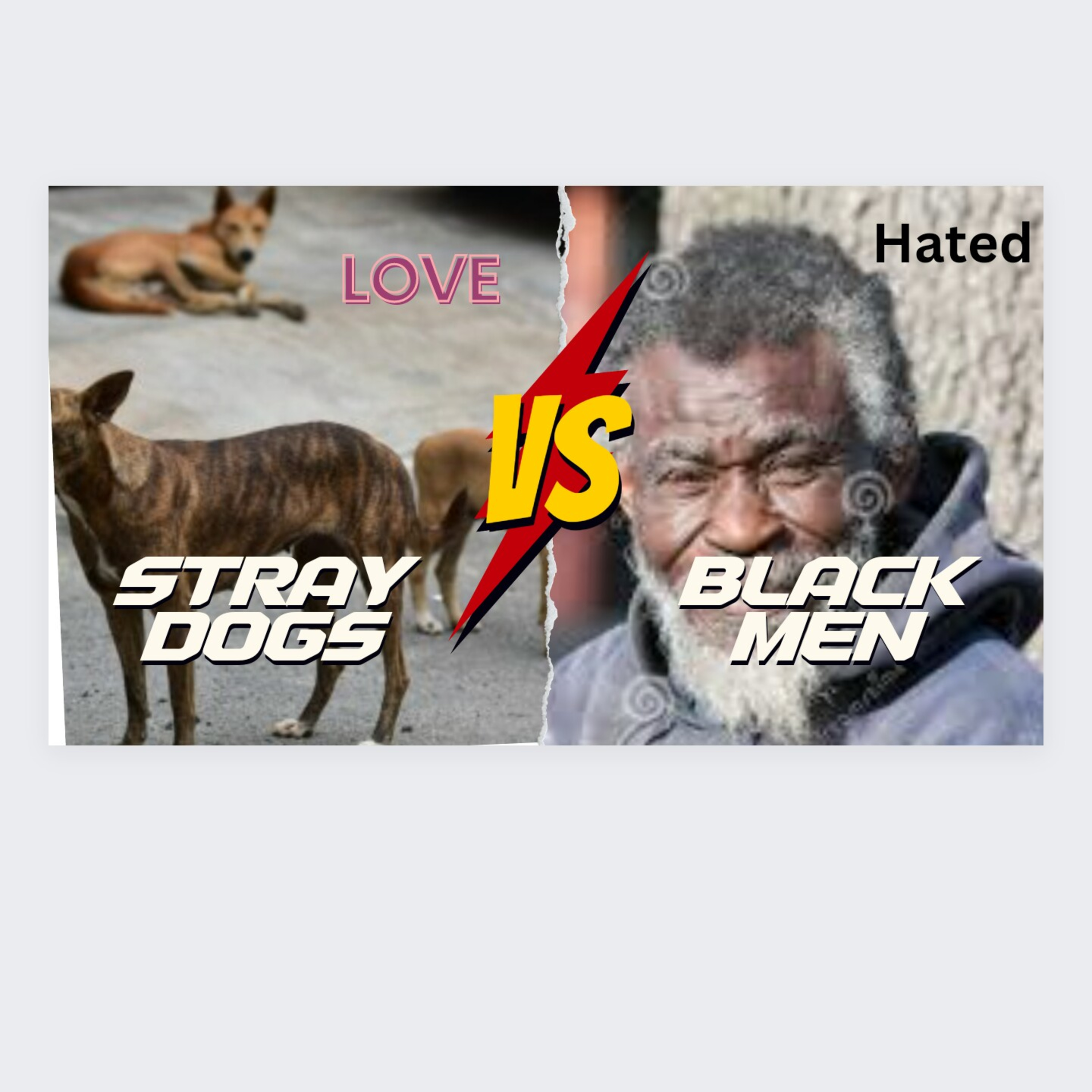 Are Black men treated worse than stray dogs? episode artwork