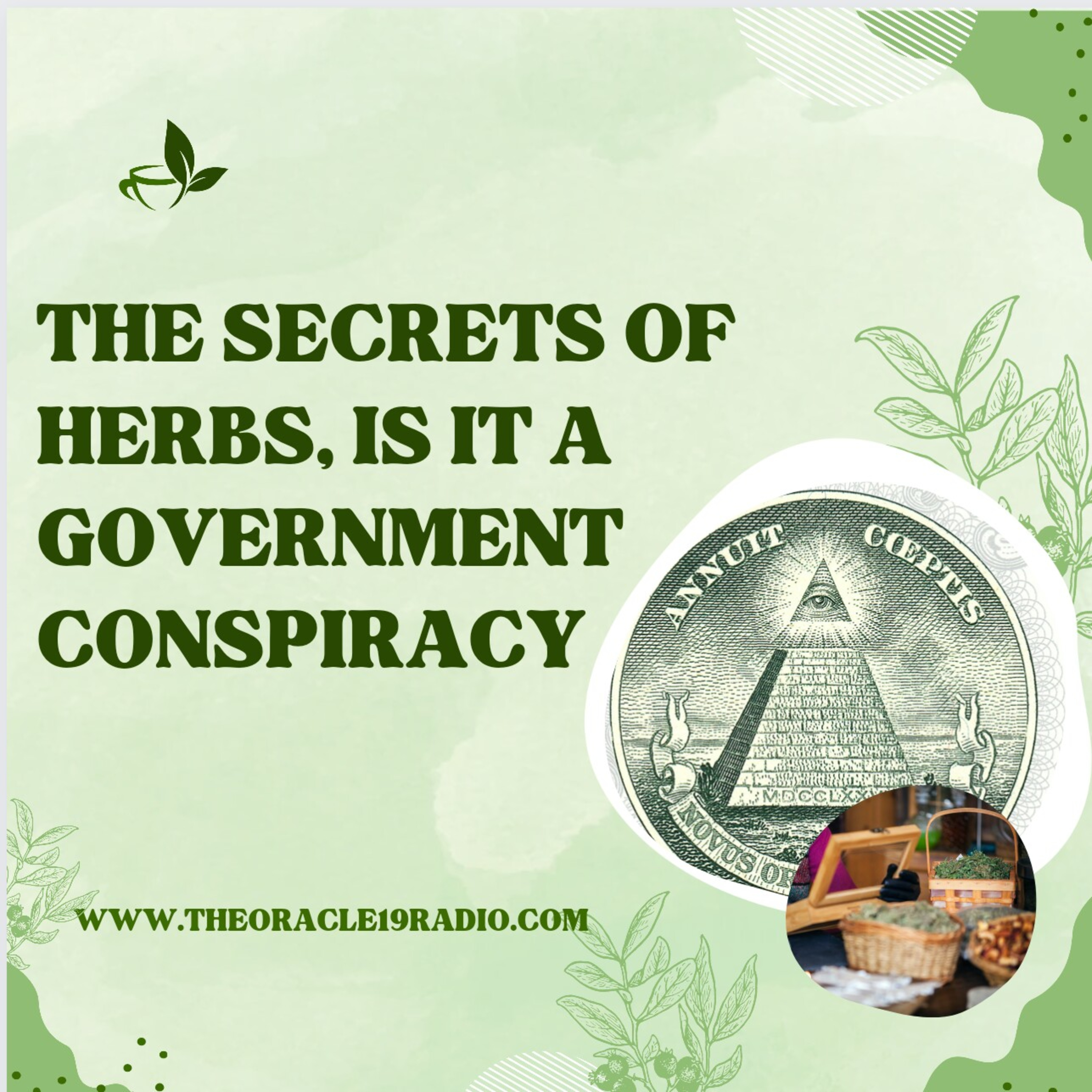 The secrets of herbs, is it a government conspiracy episode artwork