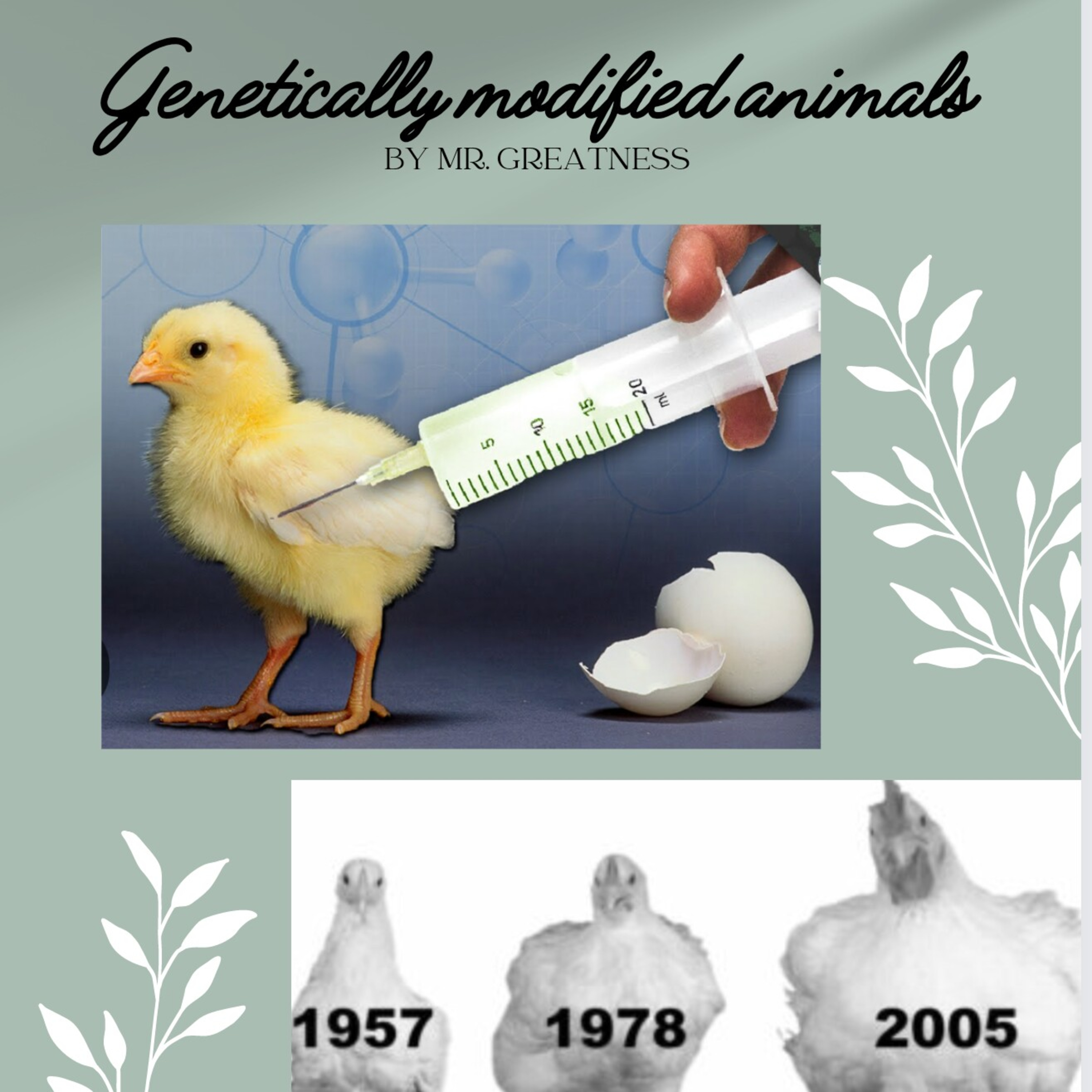 Unlocking the secrets of genetically modified animals episode artwork
